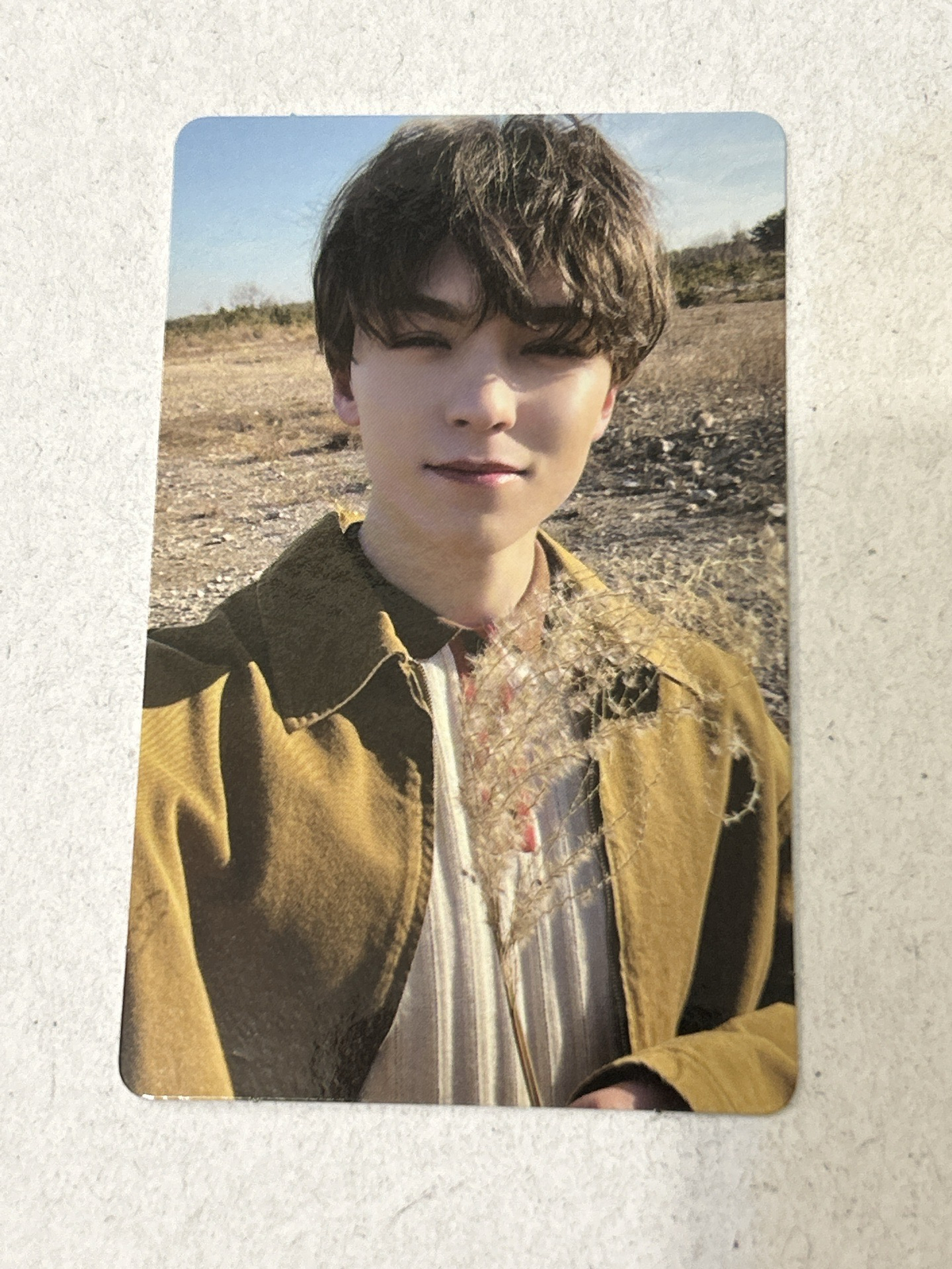 率 正四 wvs PB ver 特典卡 