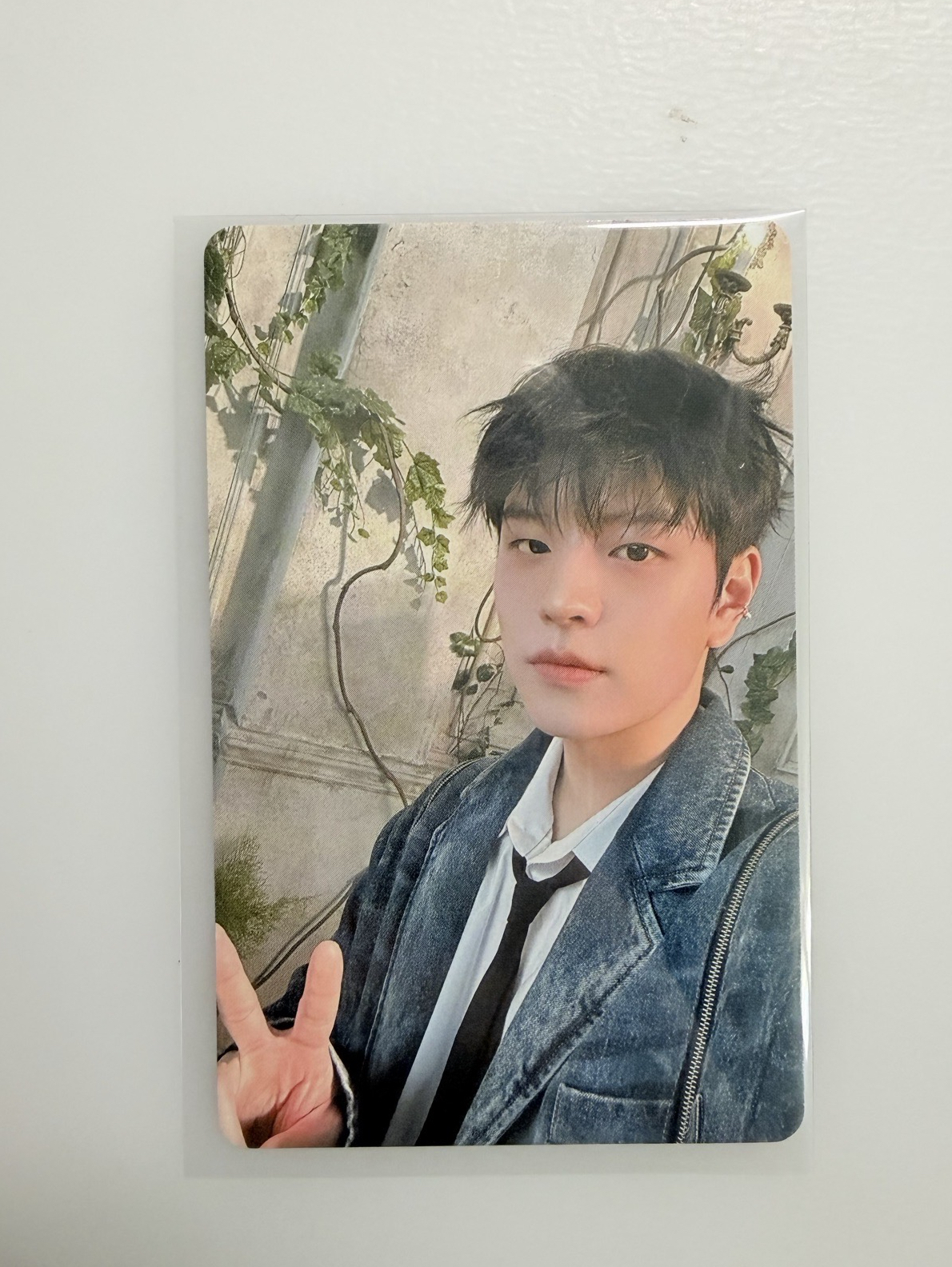 Hollow 5/18 靜岡場限玟