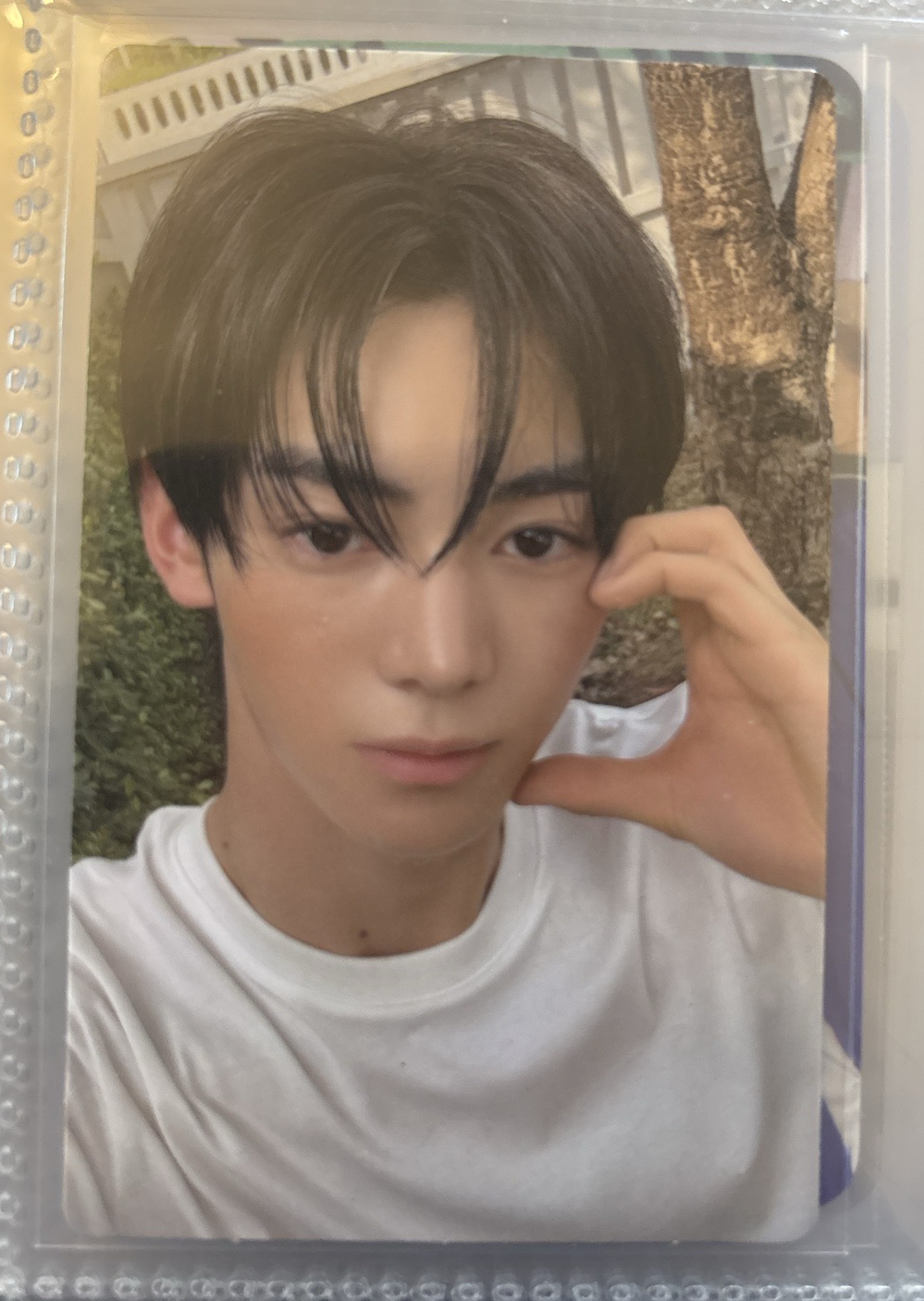 TWS 振 wvs預售卡