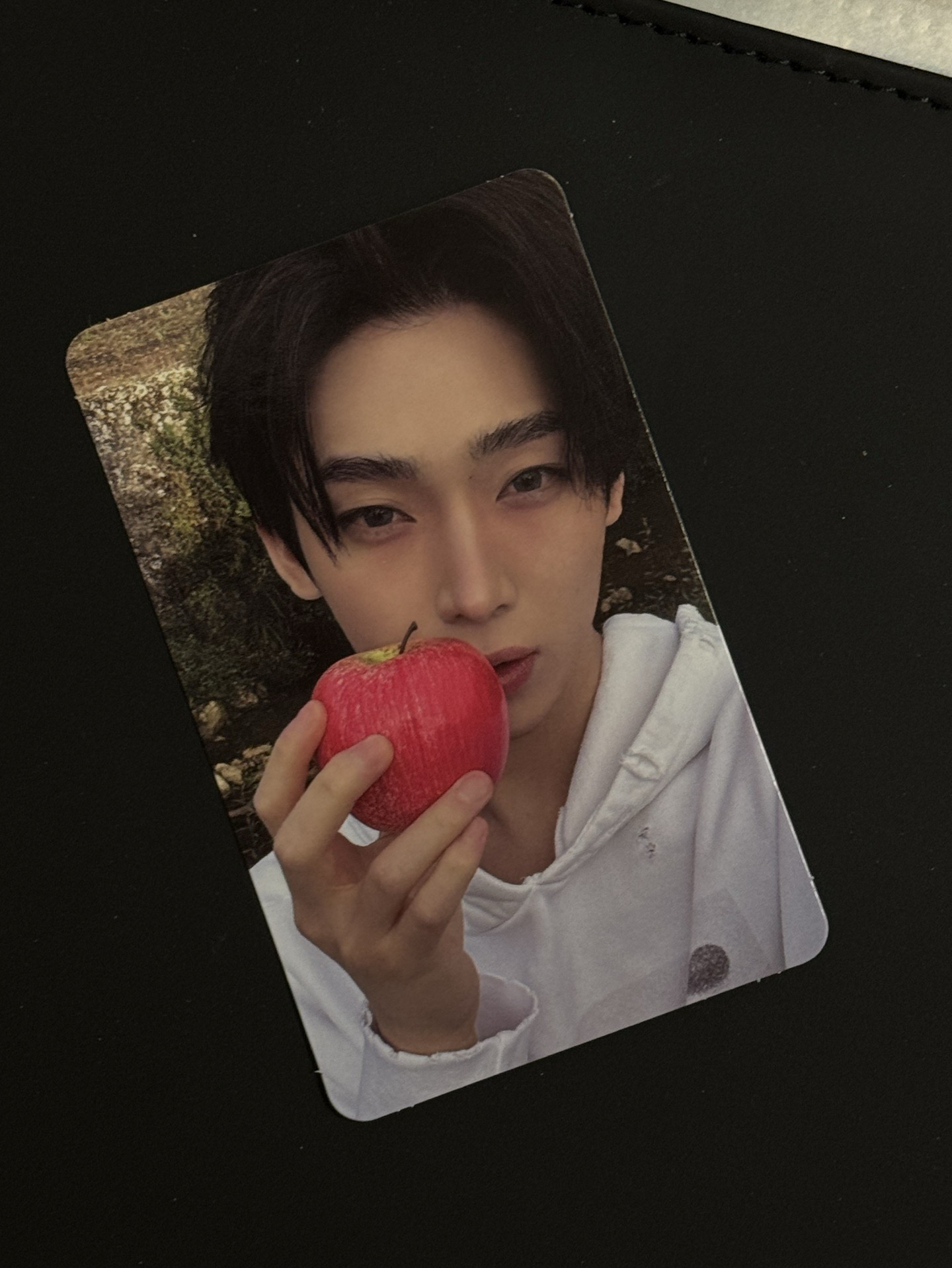 迷七單封 善禹蘋果男自拍卡