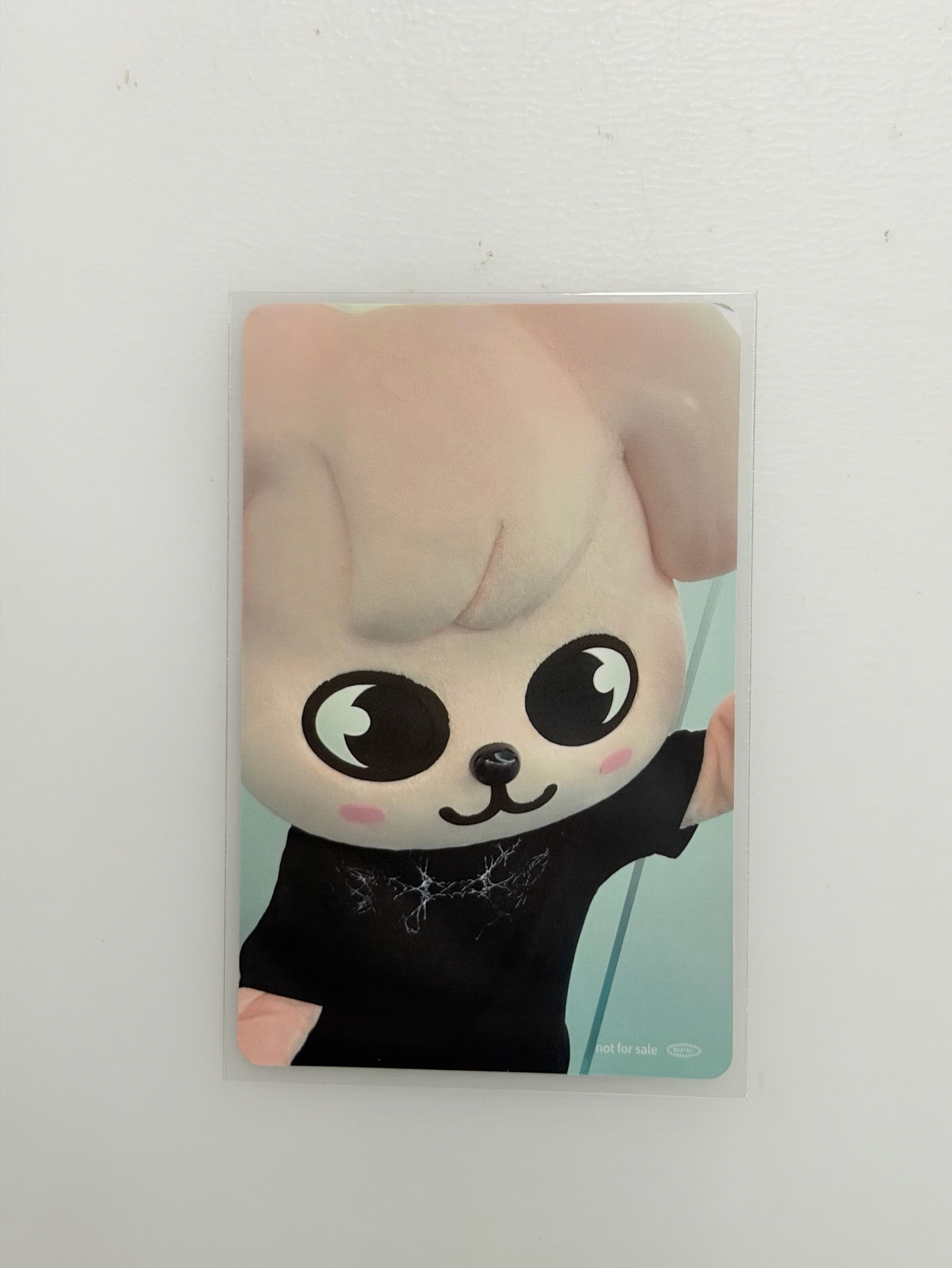 Hollow塔店小動物玟