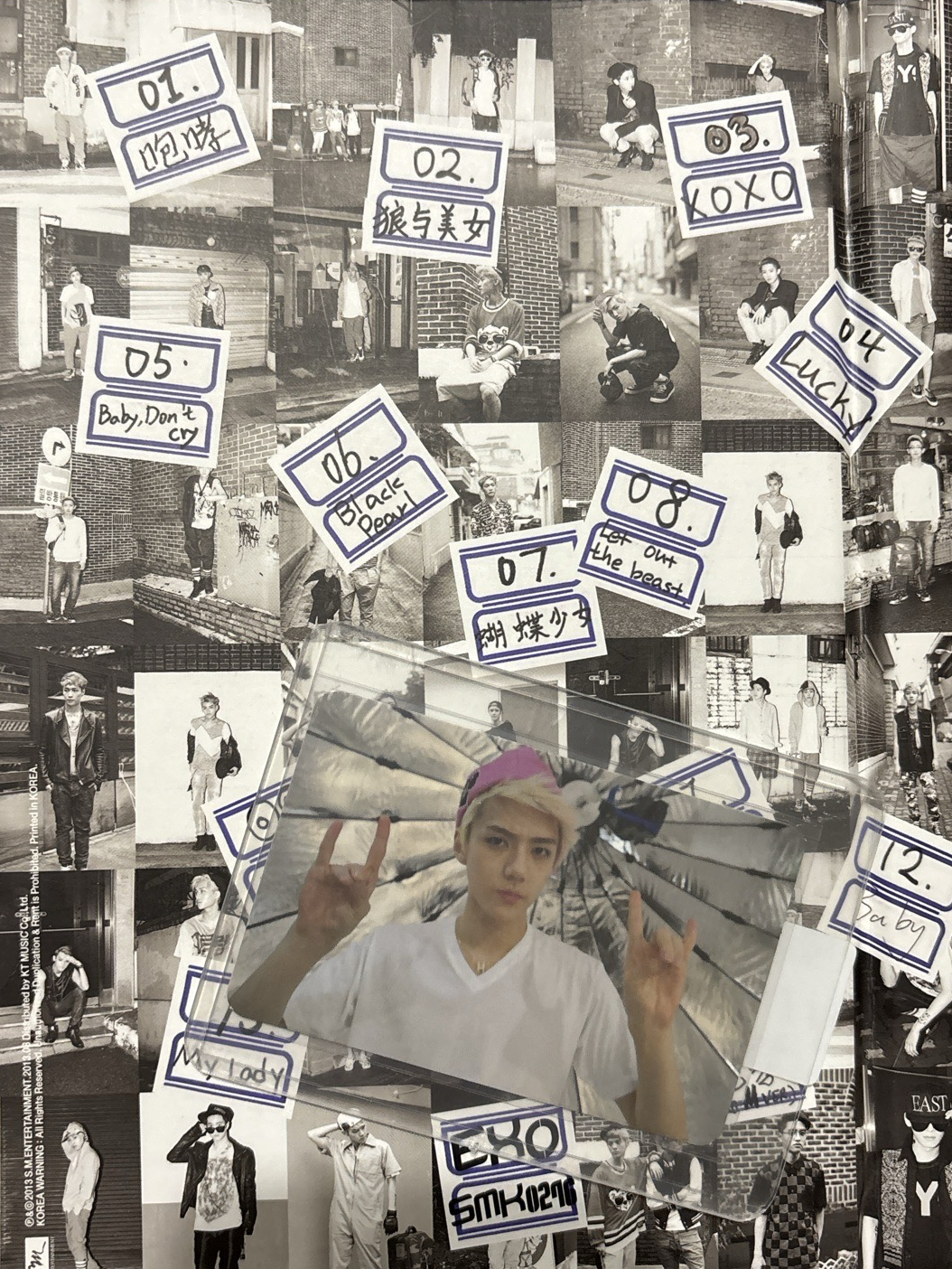 *EXO XOXO 咆哮世勳全專