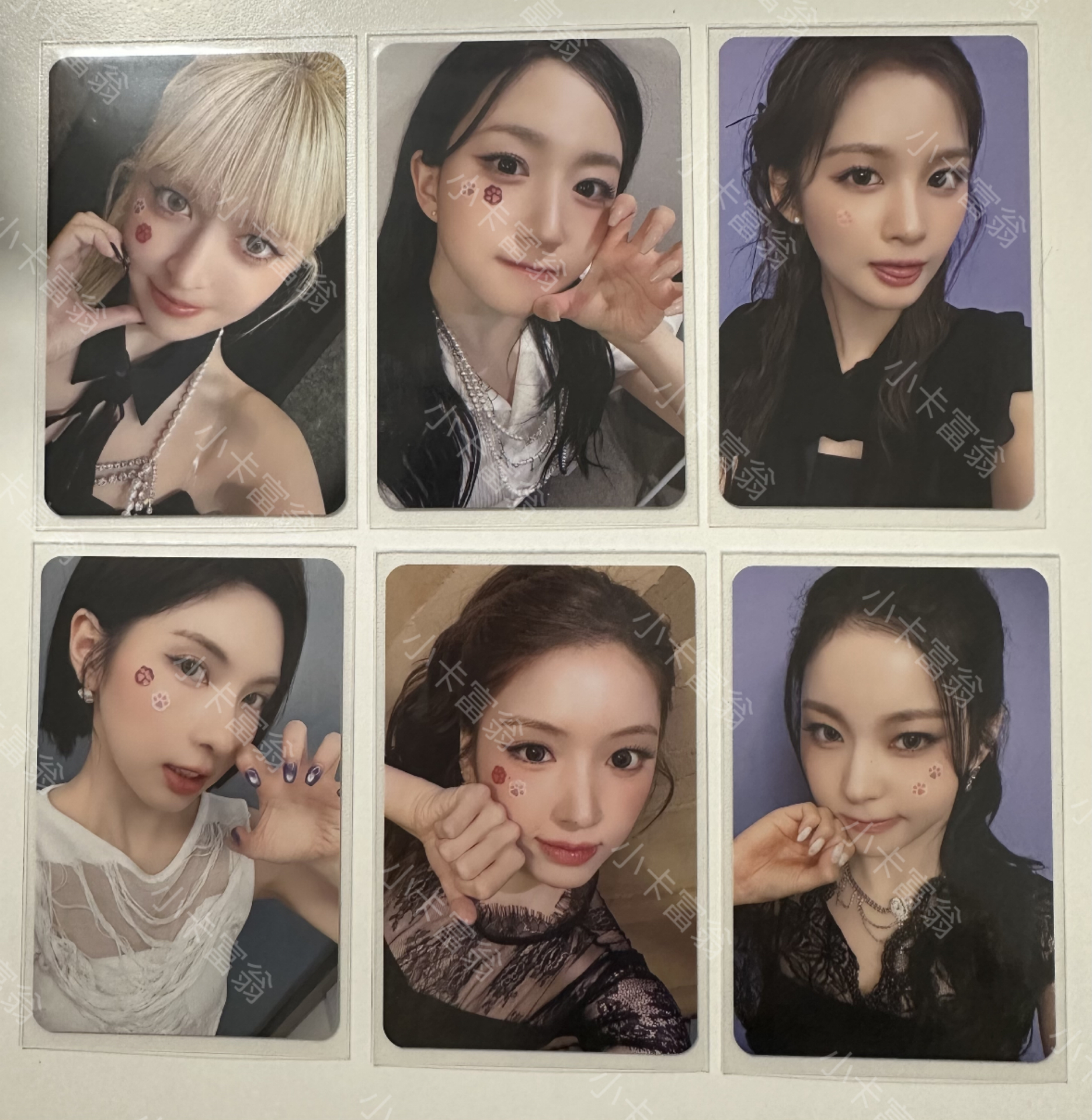 NMIXX 現貨 Blue Valentine MS 貓貼片 小卡 特典 簽售卡