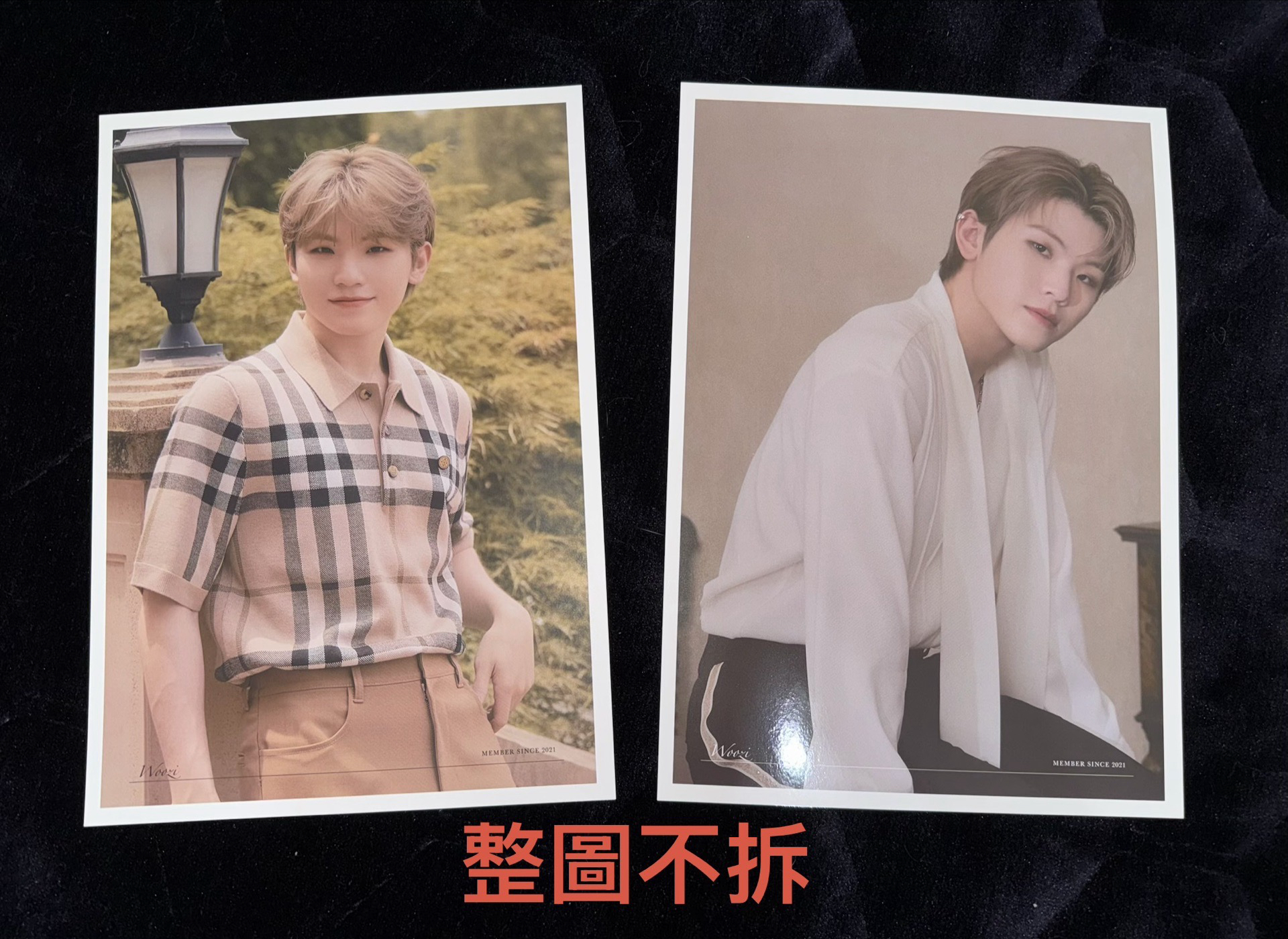 social club 檔案卡 woozi