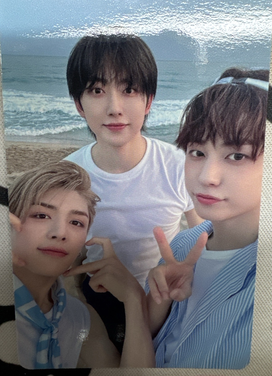 🎮🐣🐶青嵐三人