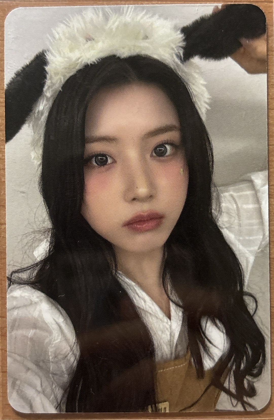 非現 NMIXX am動物咖啡廳友（綁3張）