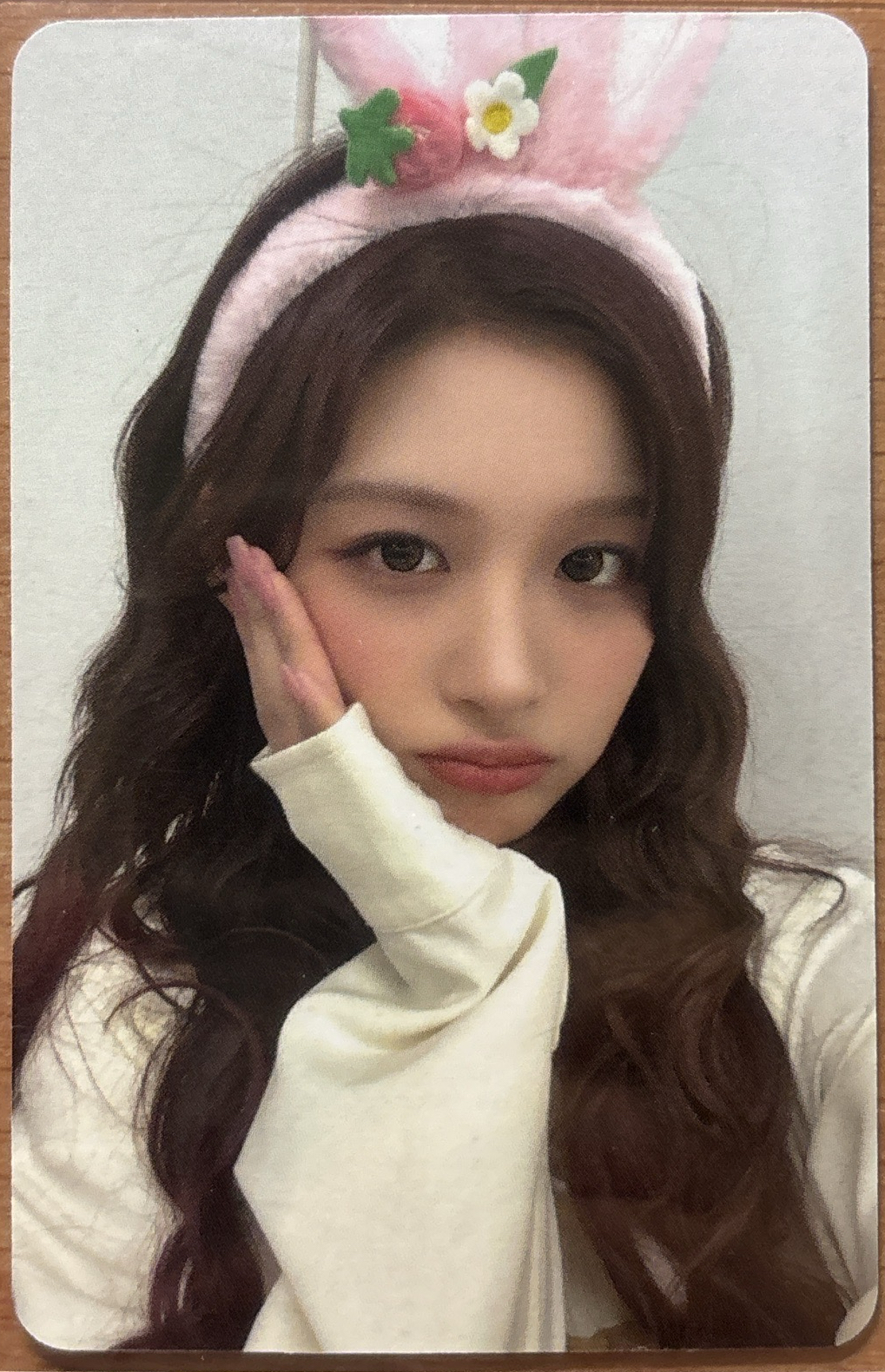 NMIXX am動物咖啡廳薛（綁一張）