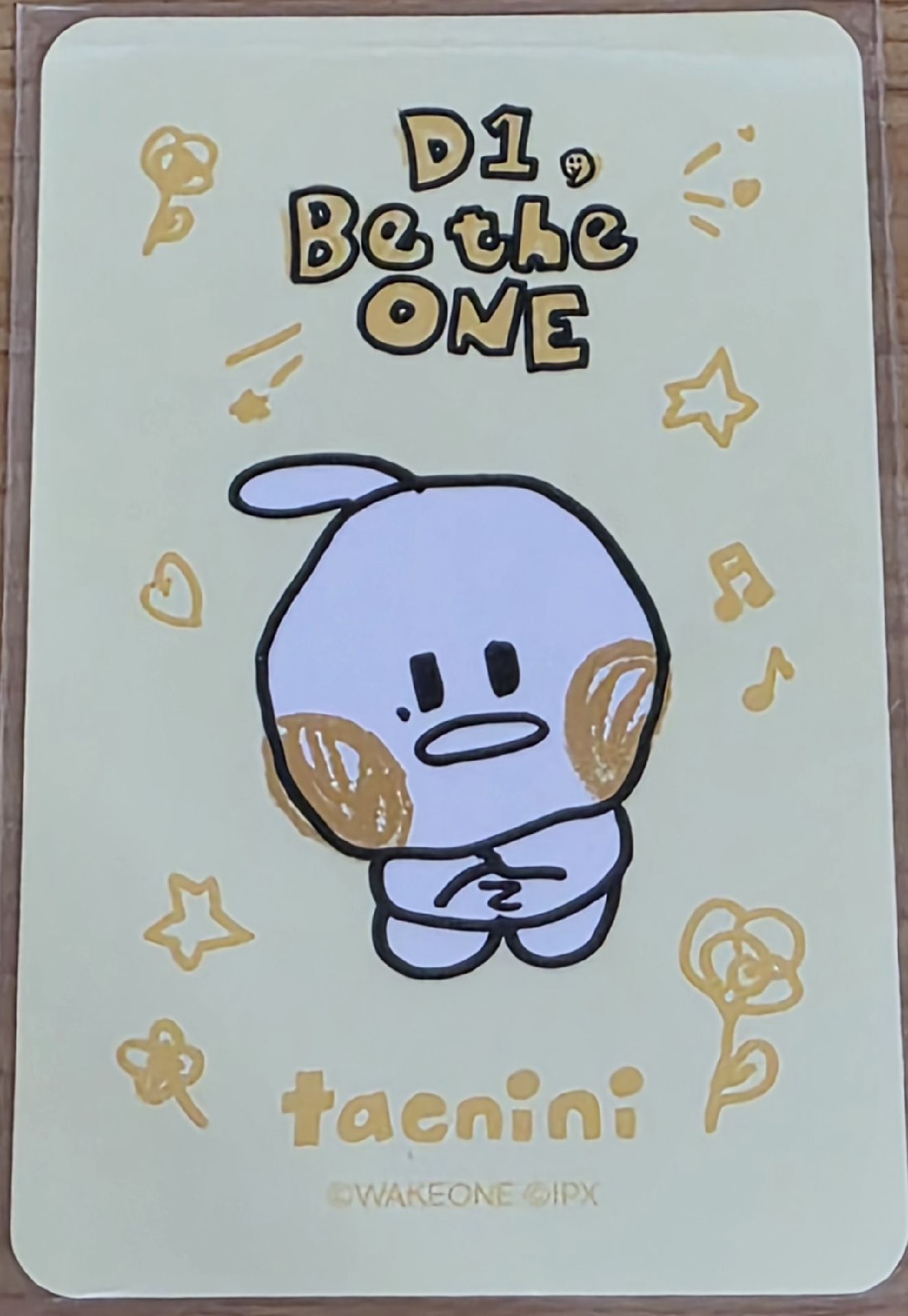 提袋隨機卡 太來 TAERAE