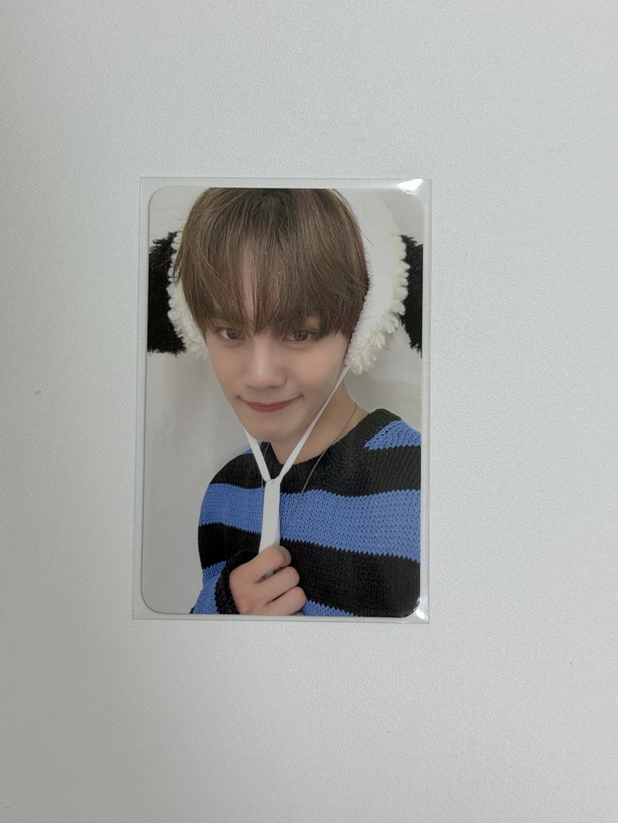 ZB1 迷五ms 狗耳奎彬