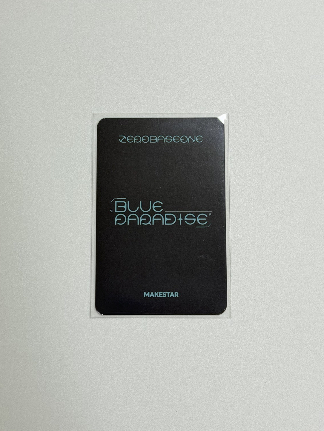 ZB1 迷五ms 狗耳奎彬