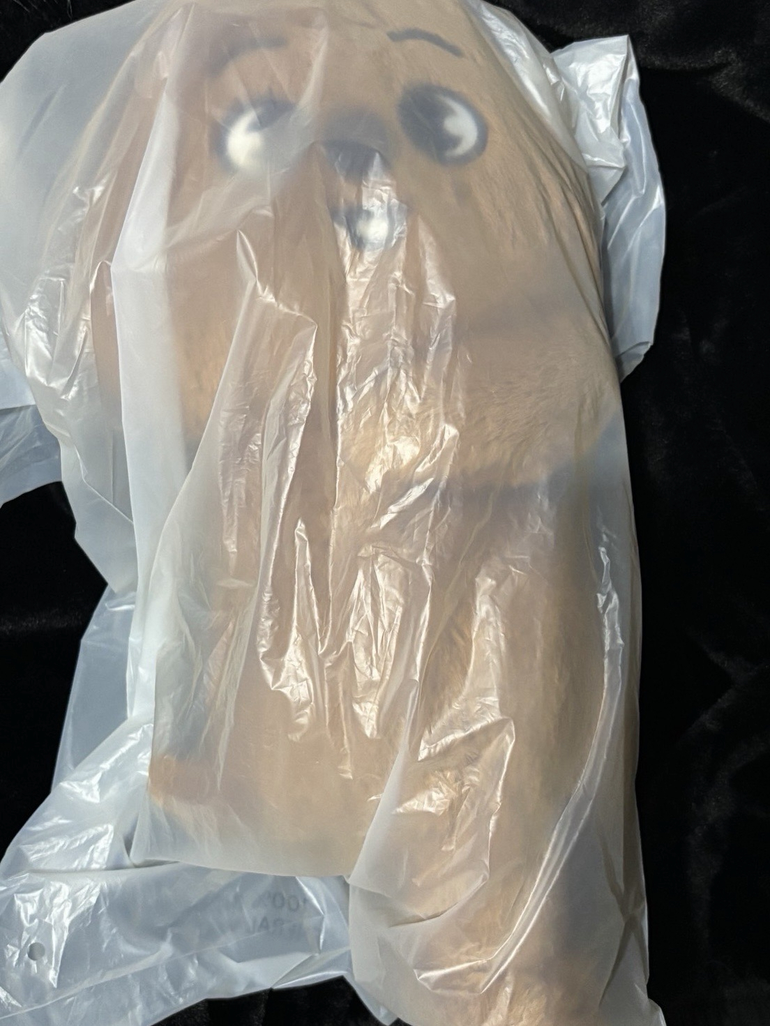 HAN QUOKKA PLUSH BAG 泰迪側背包