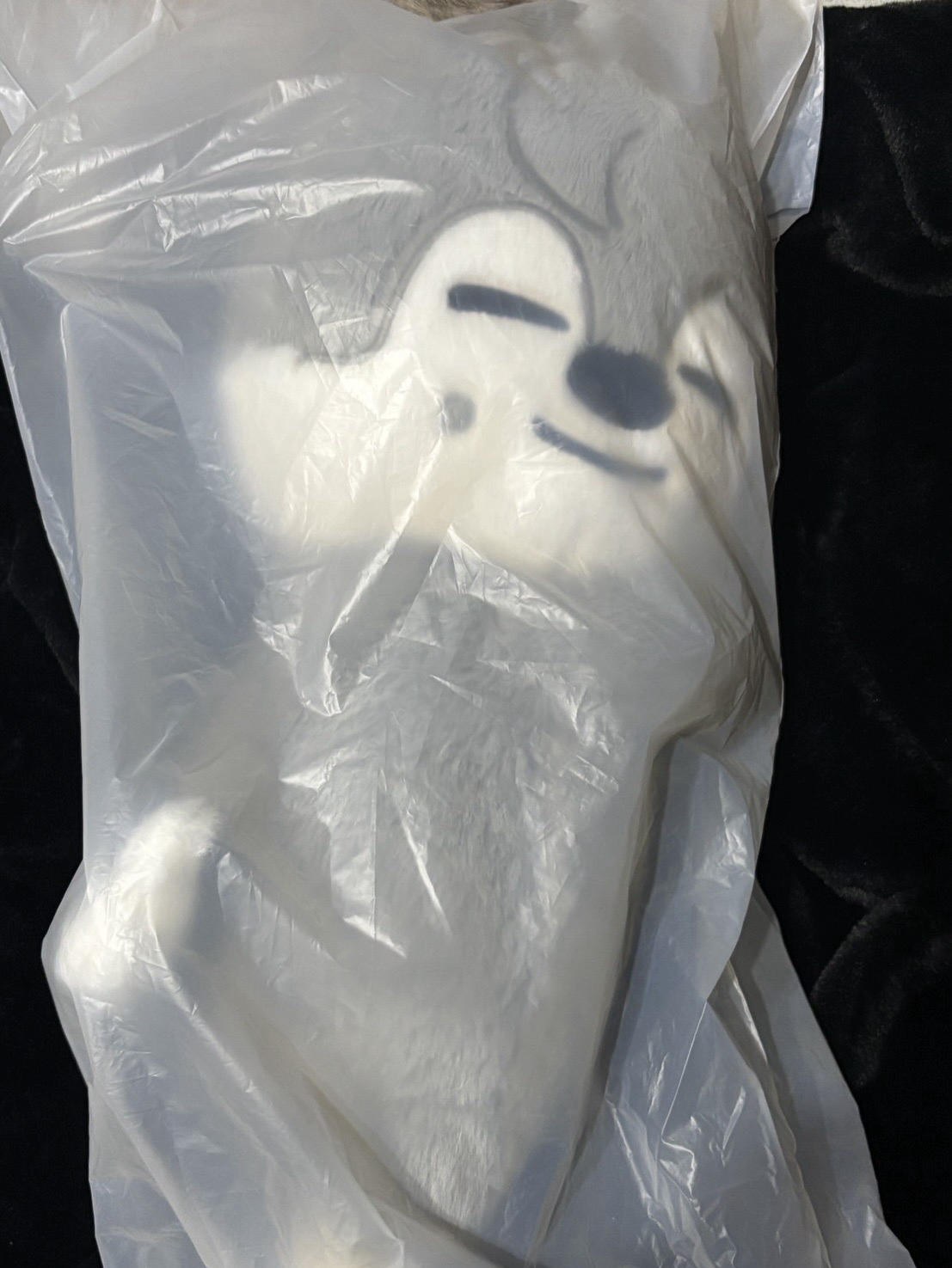 Wolf Chan PLUSH BAG 泰迪側背包