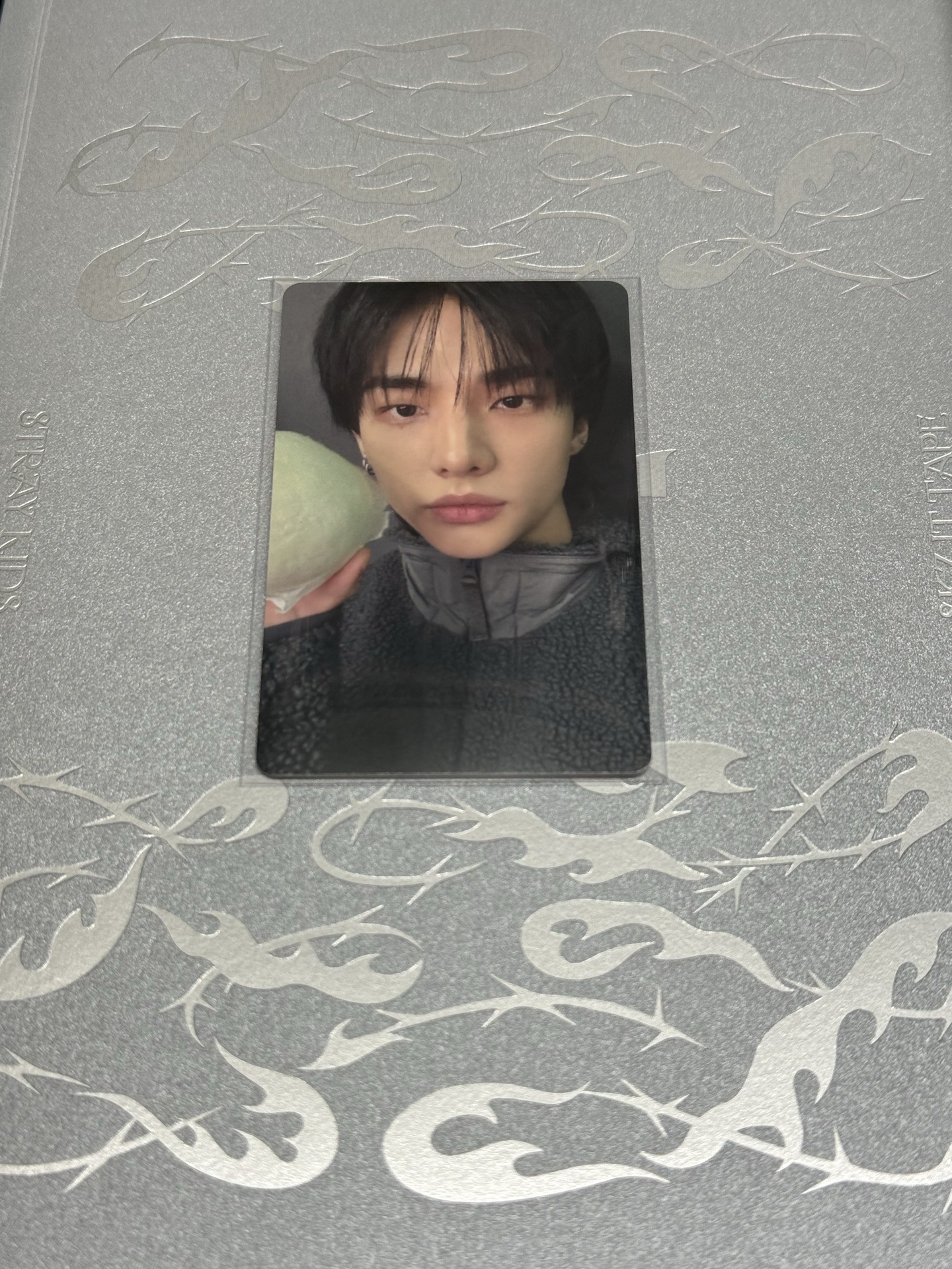 Do it fans視聽會辰