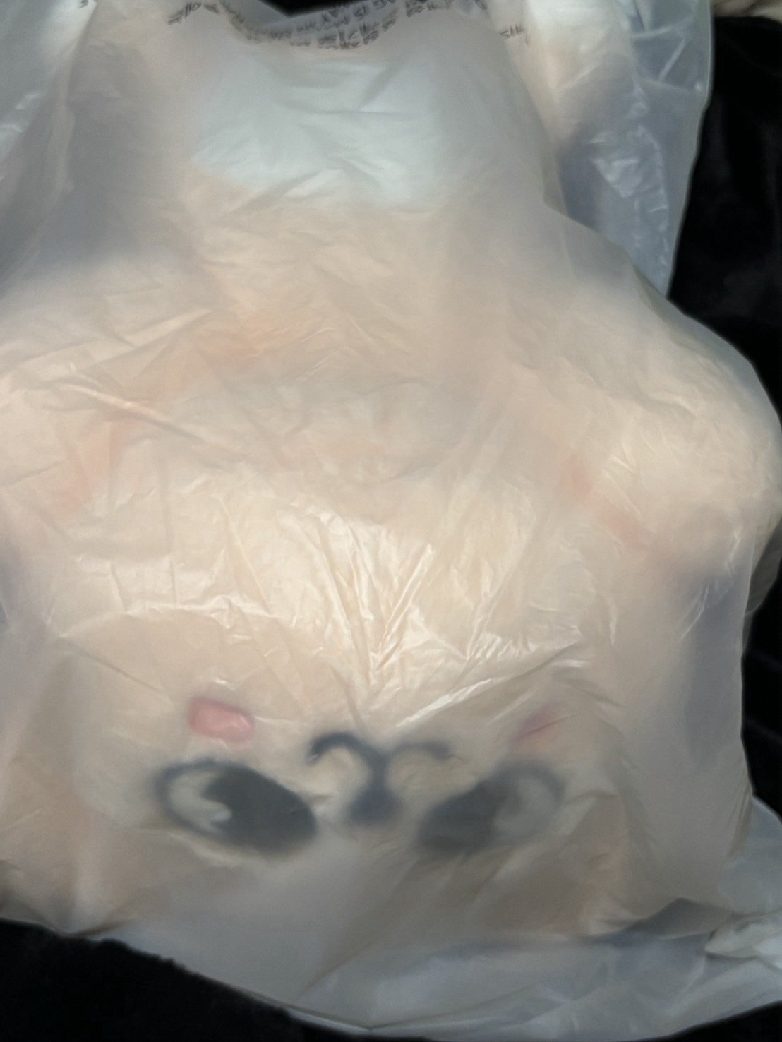 PuppyM PLUSH LYING Ver. 昇玟設計泰迪帕皮趴娃