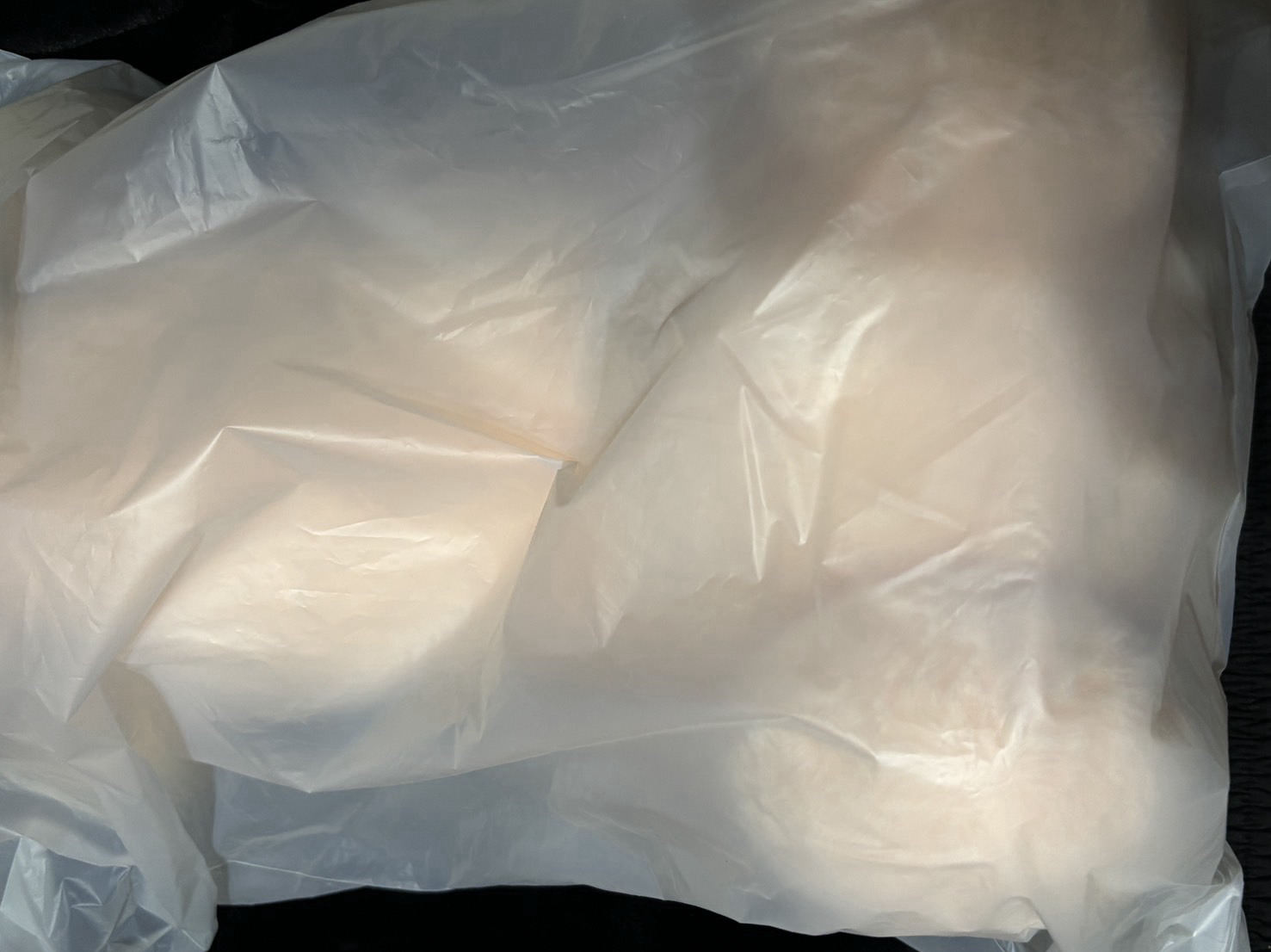 PuppyM PLUSH LYING Ver. 昇玟設計泰迪帕皮趴娃