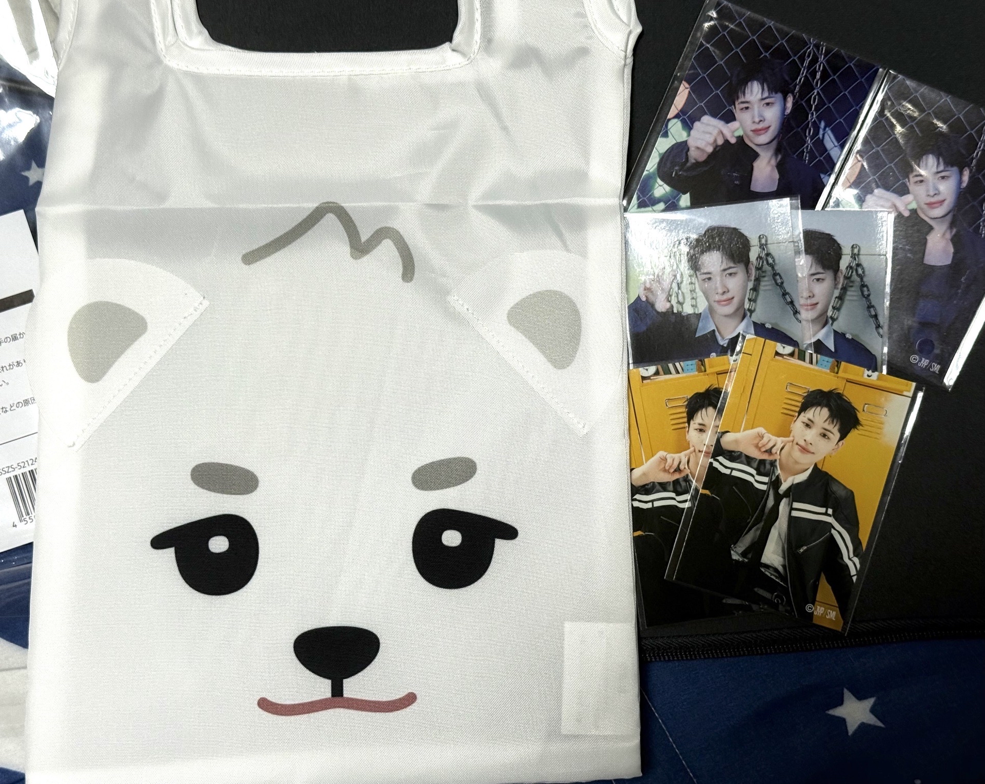 NEXZ HARU Harubear《One Bite》一番賞D賞購物袋