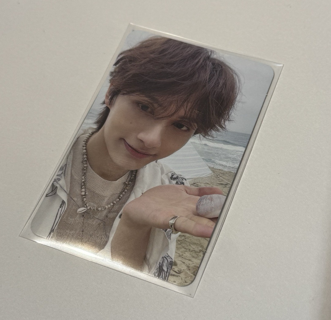 迷十二 貓咪玩石頭🪨 文俊輝