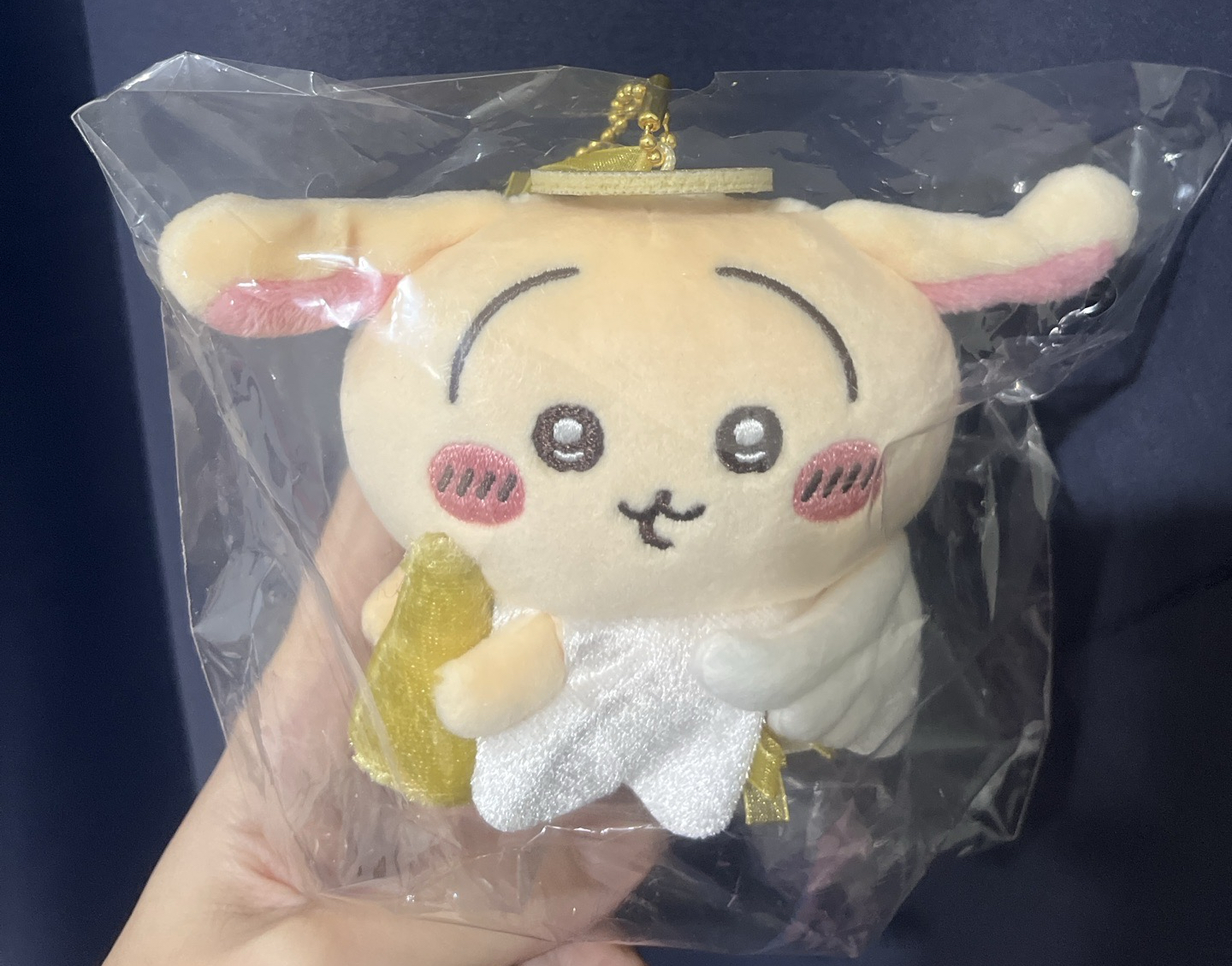 吉伊卡哇Nagano天使系列