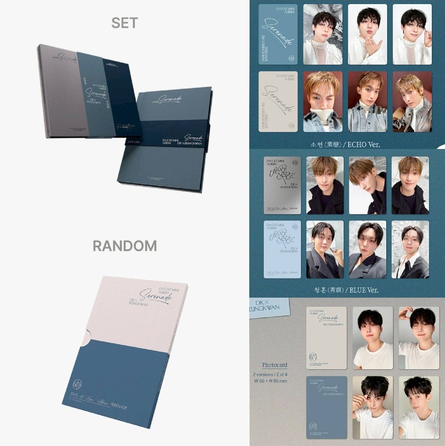 💎 D×S WVSJP特典+未拆專