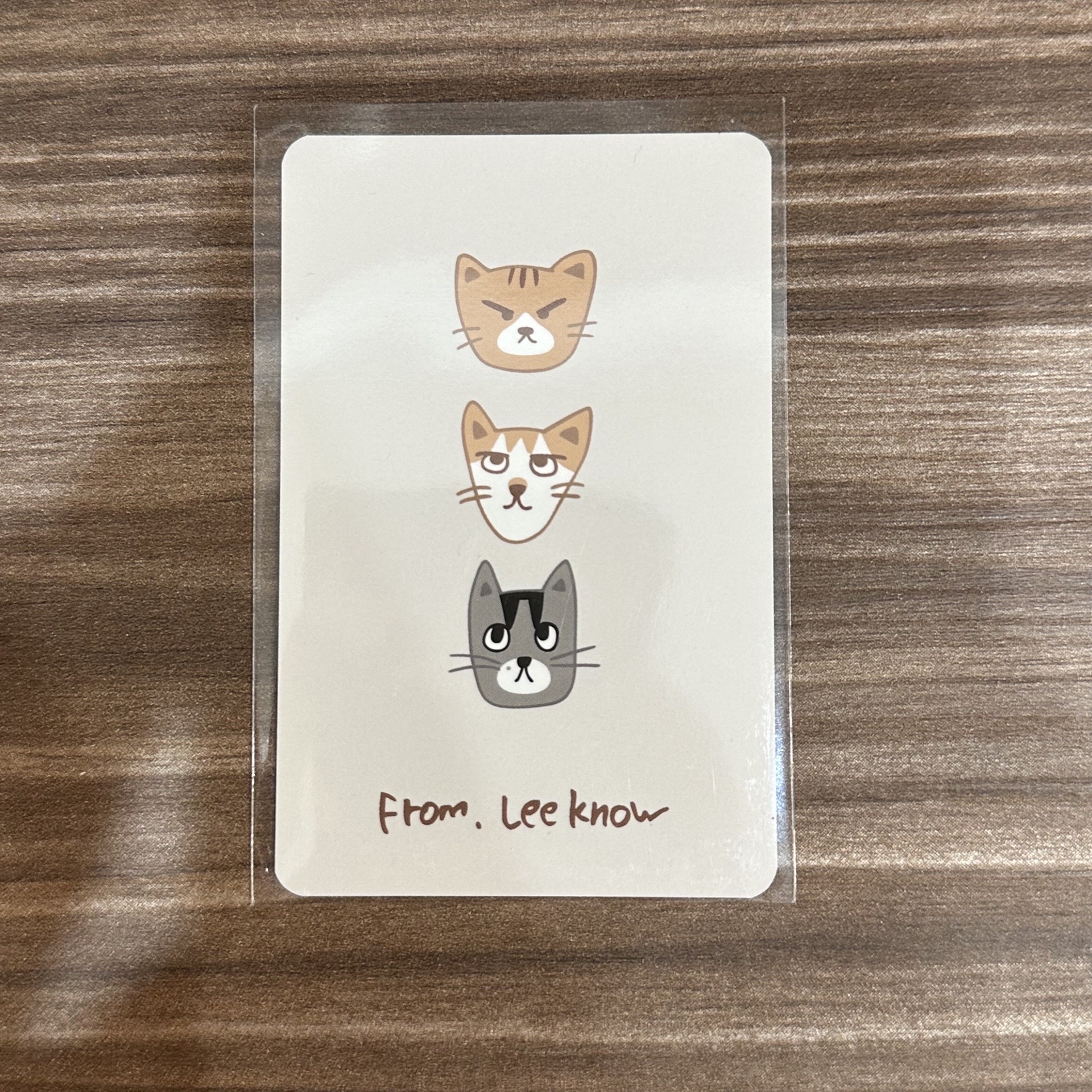 安可快閃店 成員設計款 旻 周邊卡 卡背手繪順東多🐱