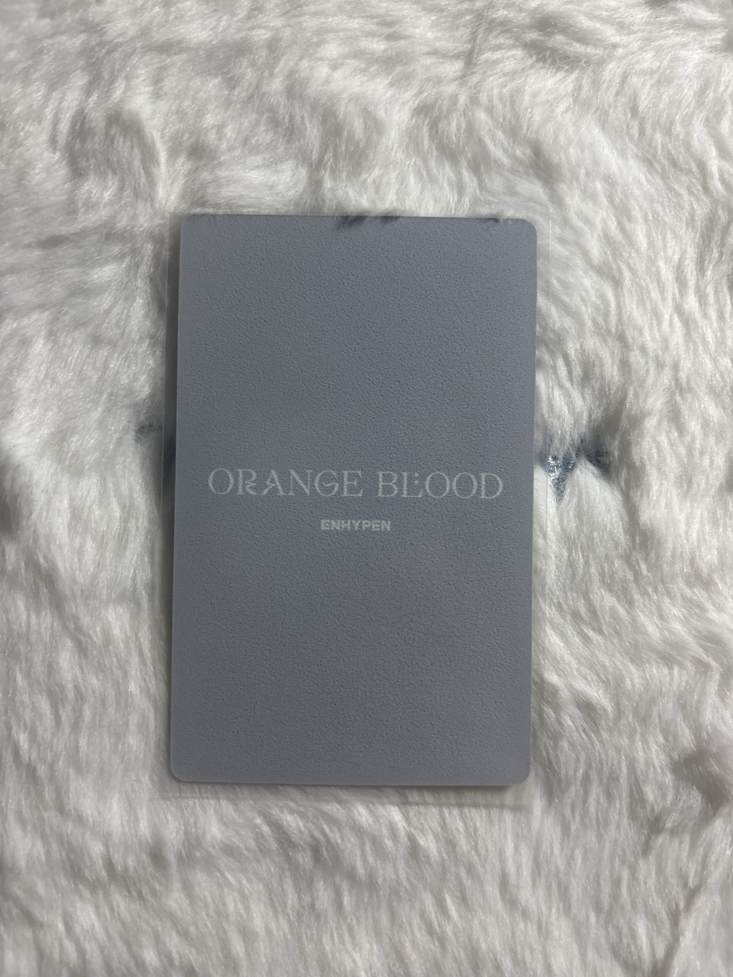 李羲承 迷五 專輯卡 KALPA ver.