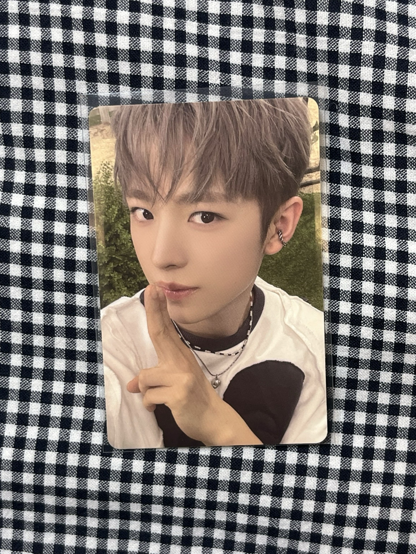 你的秘密是love me 嗎🐈