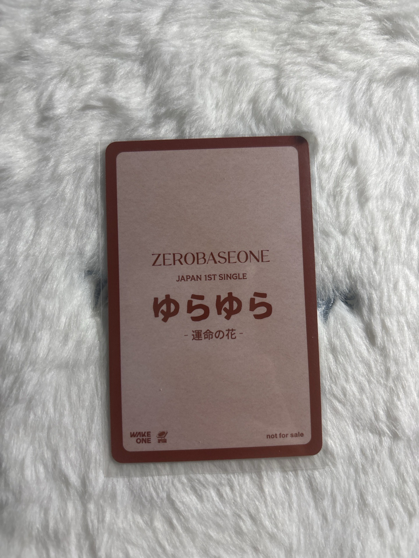 旭 日專 塔店 澀谷 特典卡 