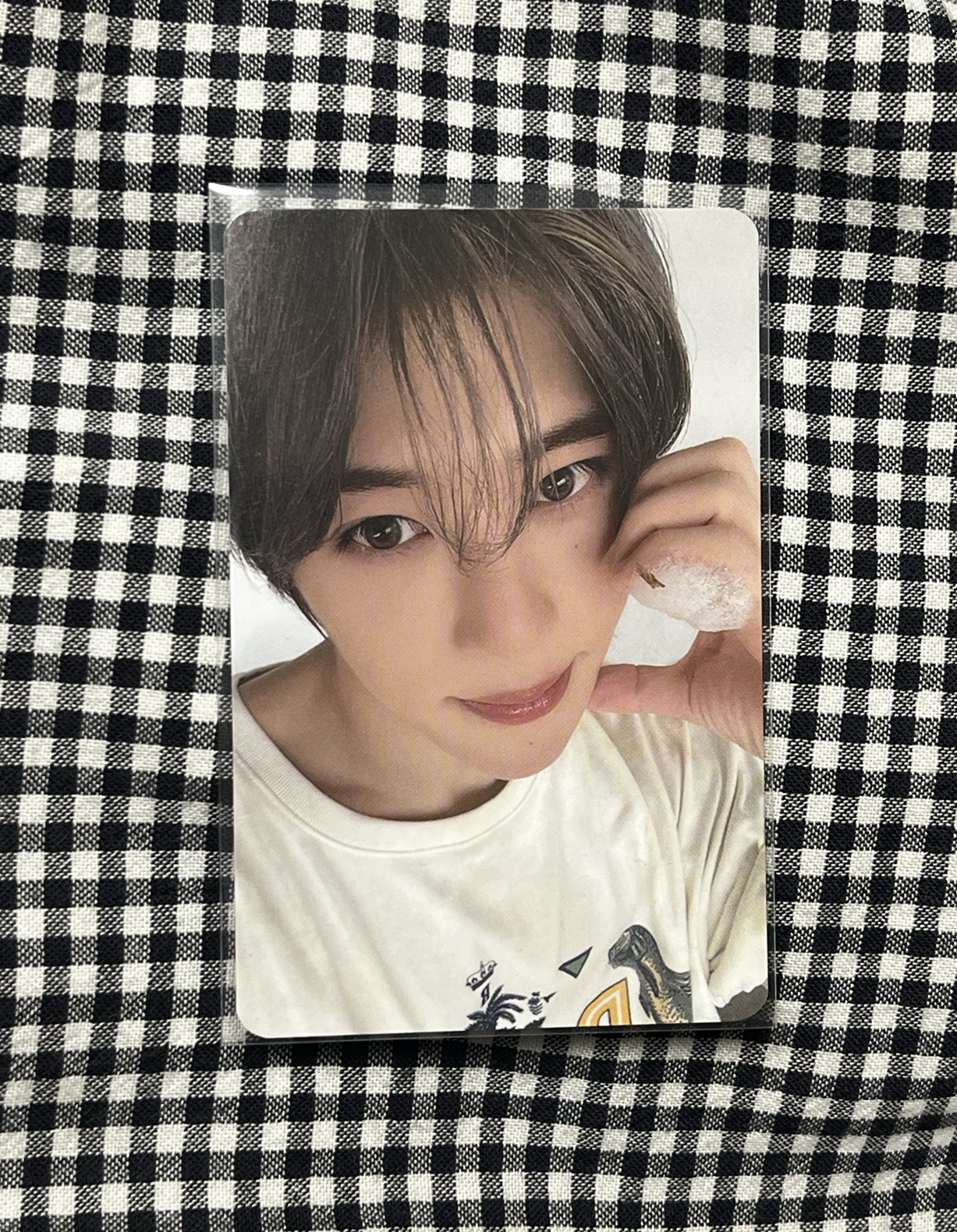 哥哥是天，哥哥是地，哥哥是溫