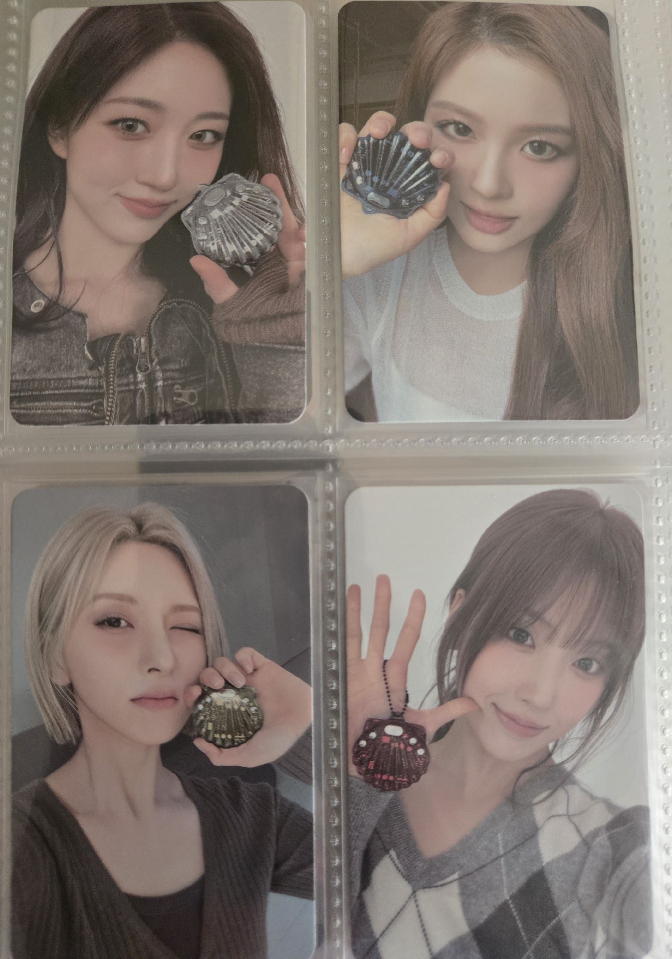 貝殼專卡 嫄薛裴友