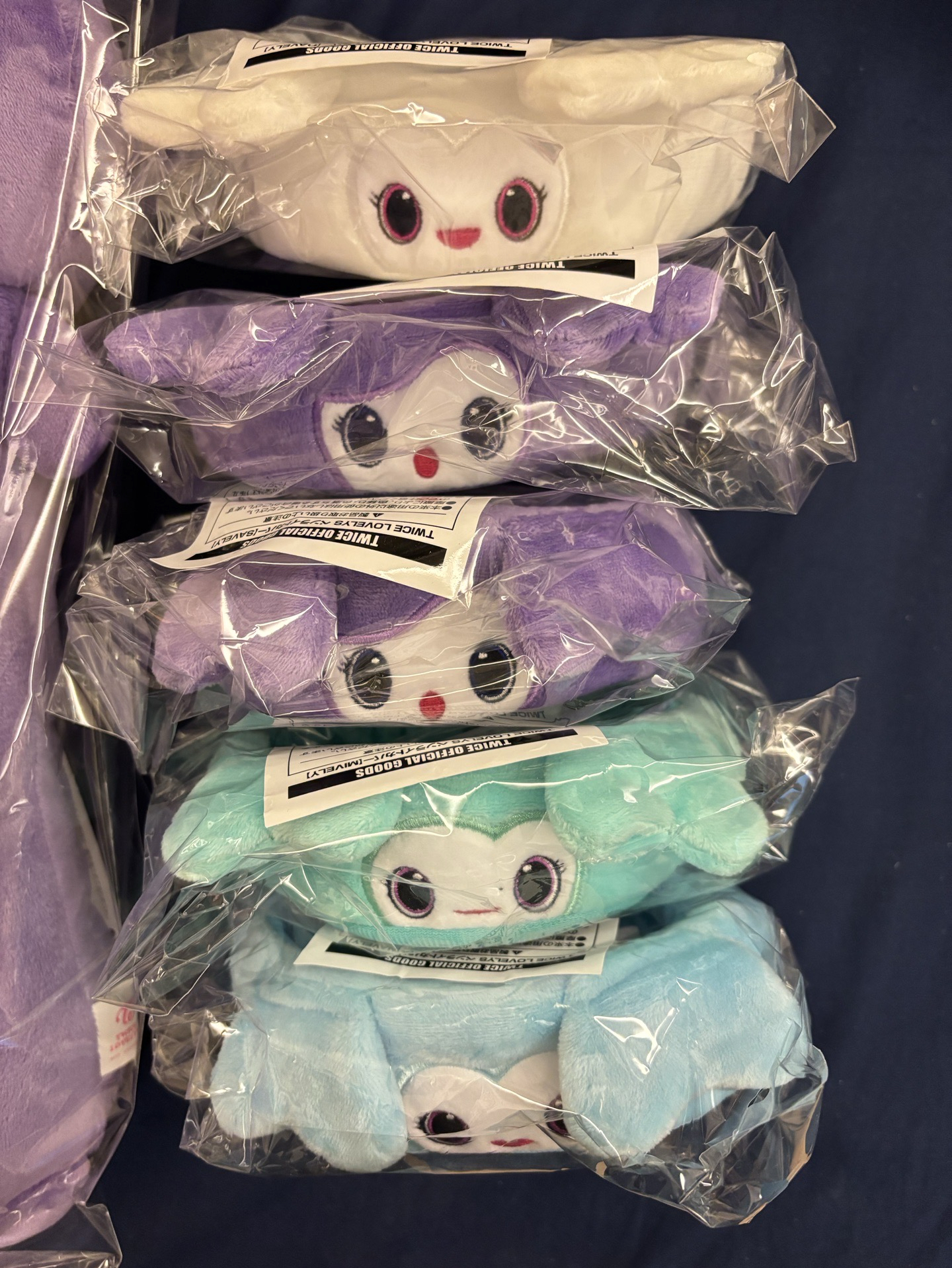 全新手燈+手燈套+十週年志效卡