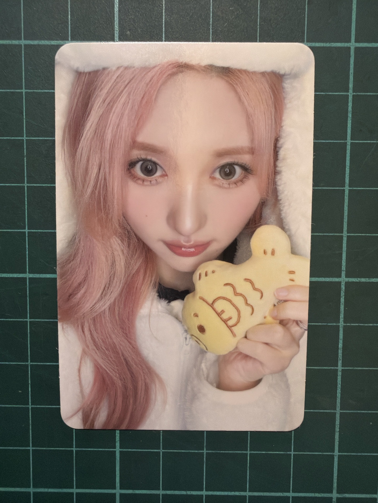 現貨當日出貨/IVE SECRET hl 2.0 簽售卡 鯽魚餅ver.秋