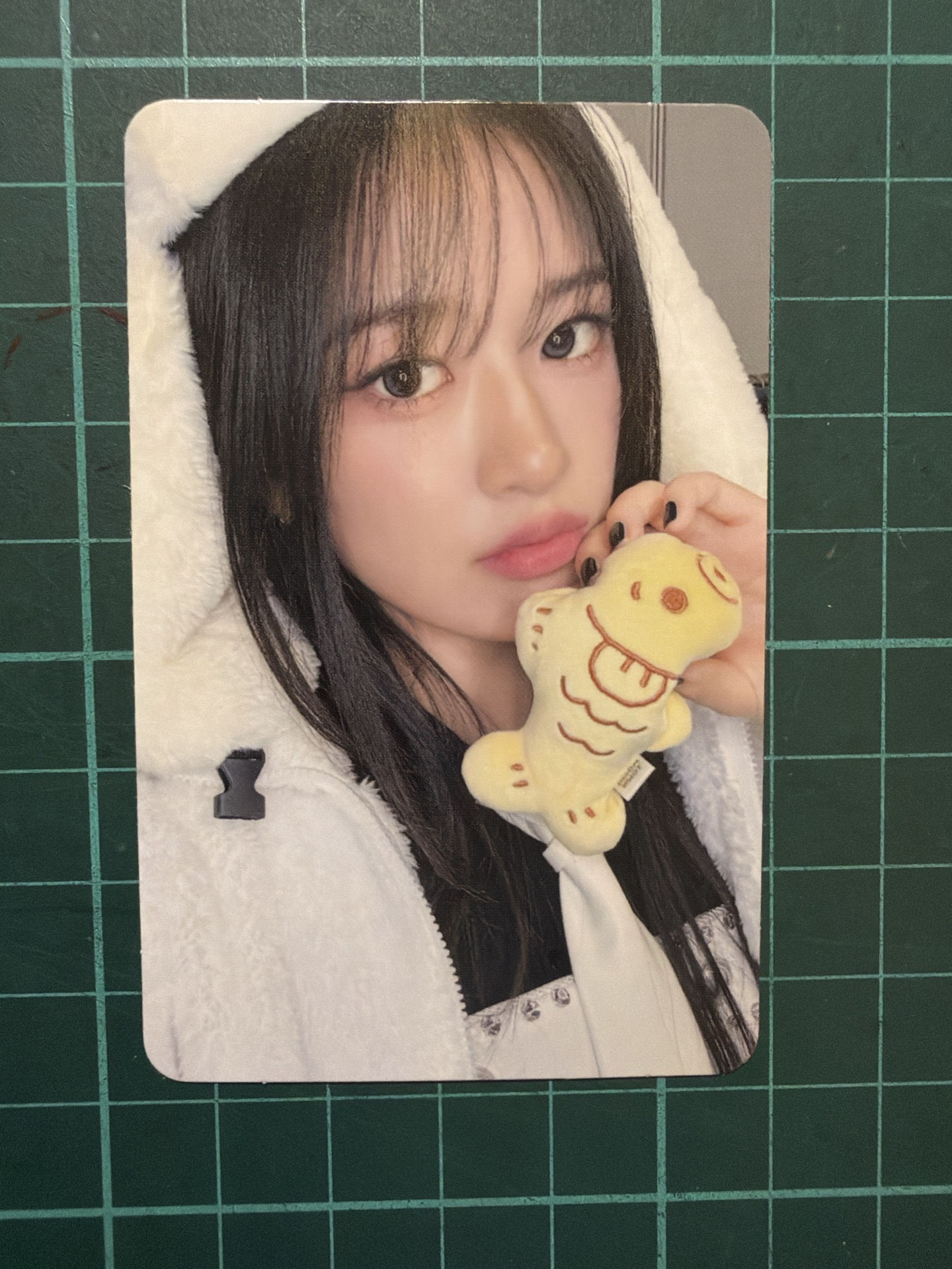 現貨當日出貨/IVE SECRET hl 2.0 簽售卡 鯽魚餅ver.安