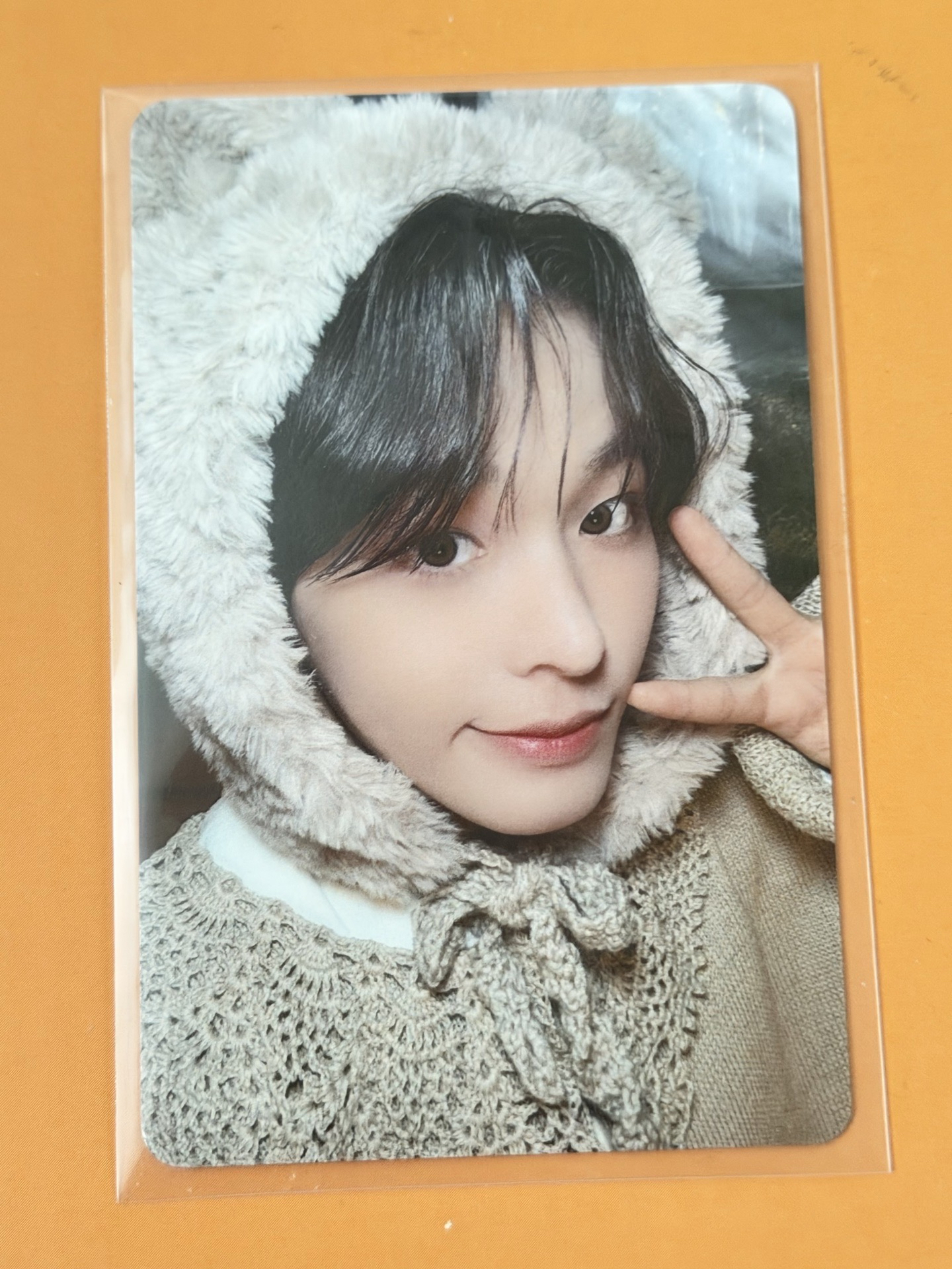 nct wish fc日咖會員禮小卡