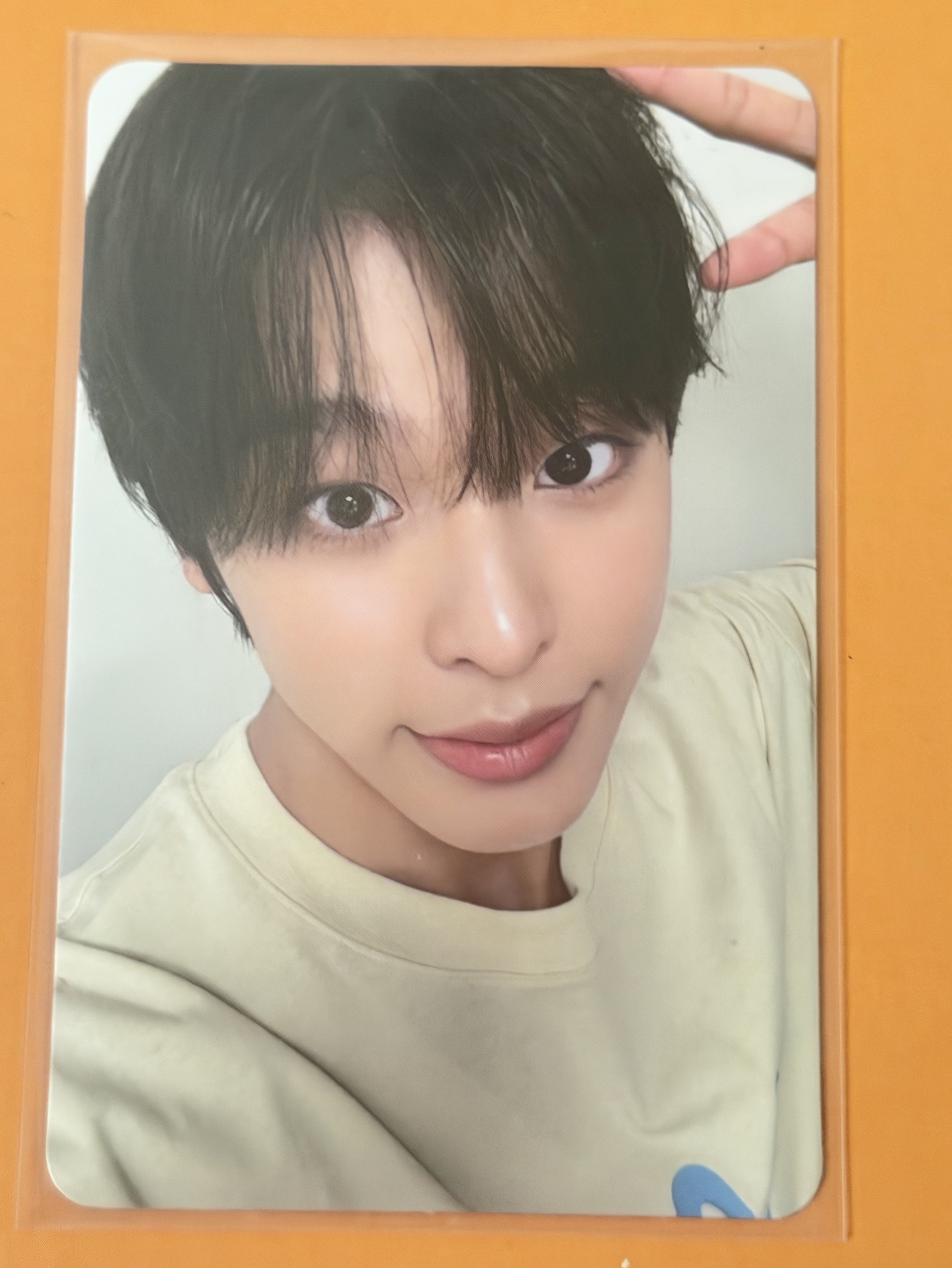 nct wish riku滿額卡