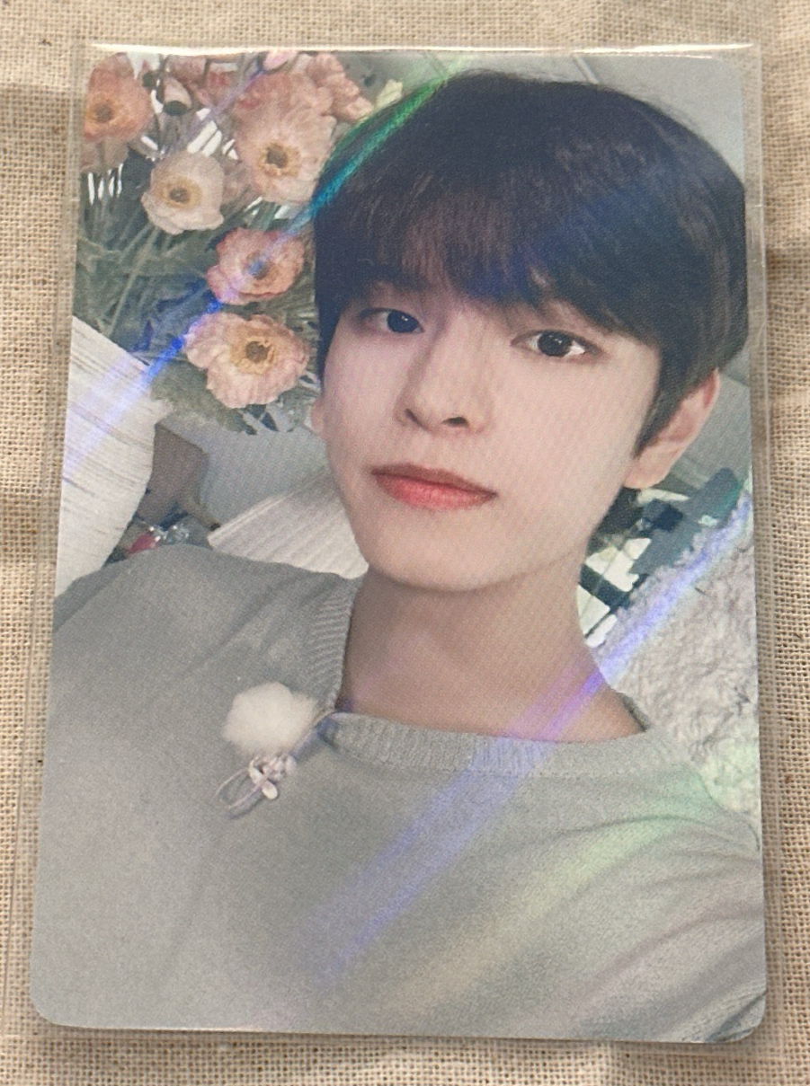 昇玟 NOEASY WD 薄荷玟