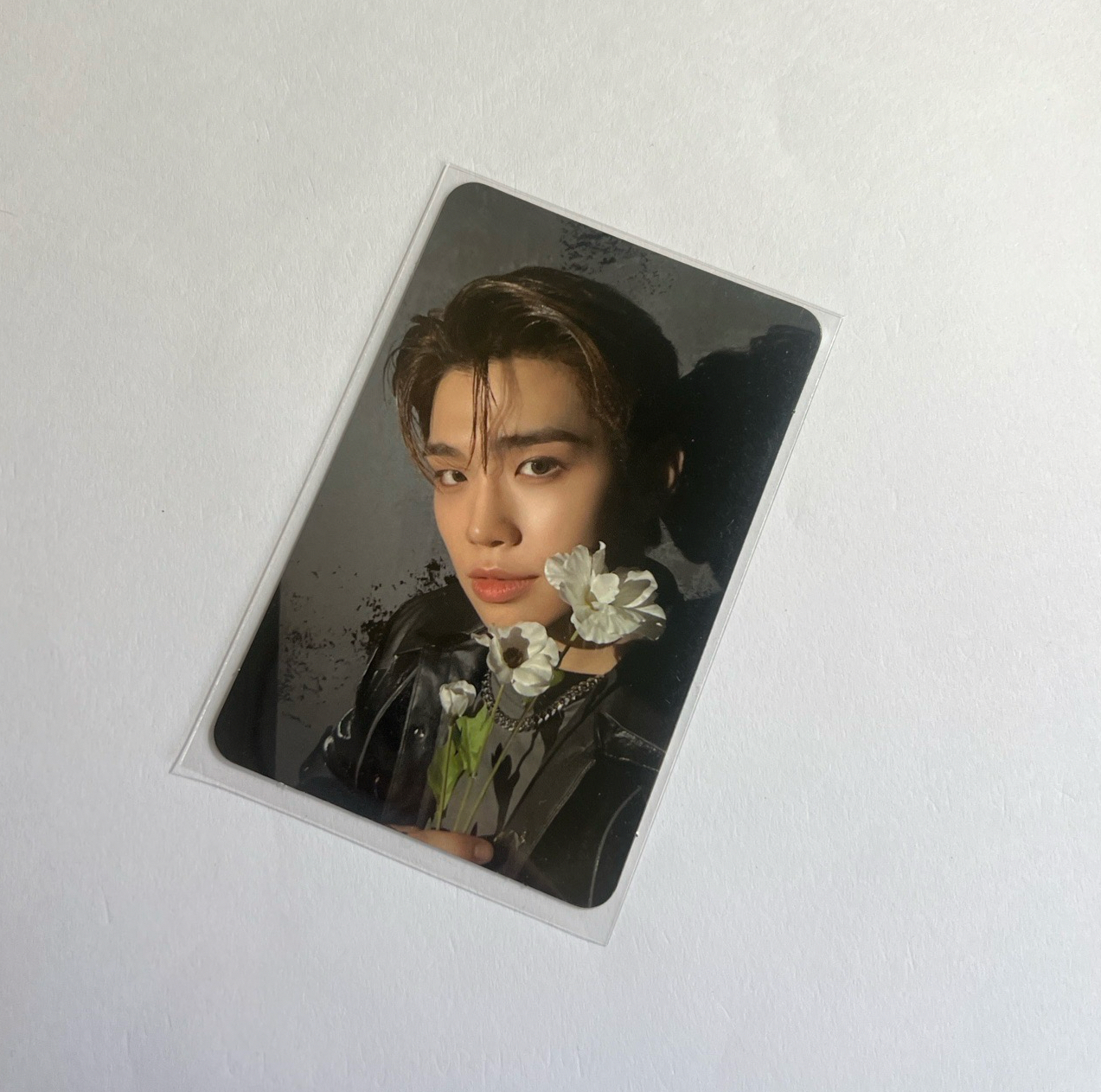 金泰來 迷一專卡