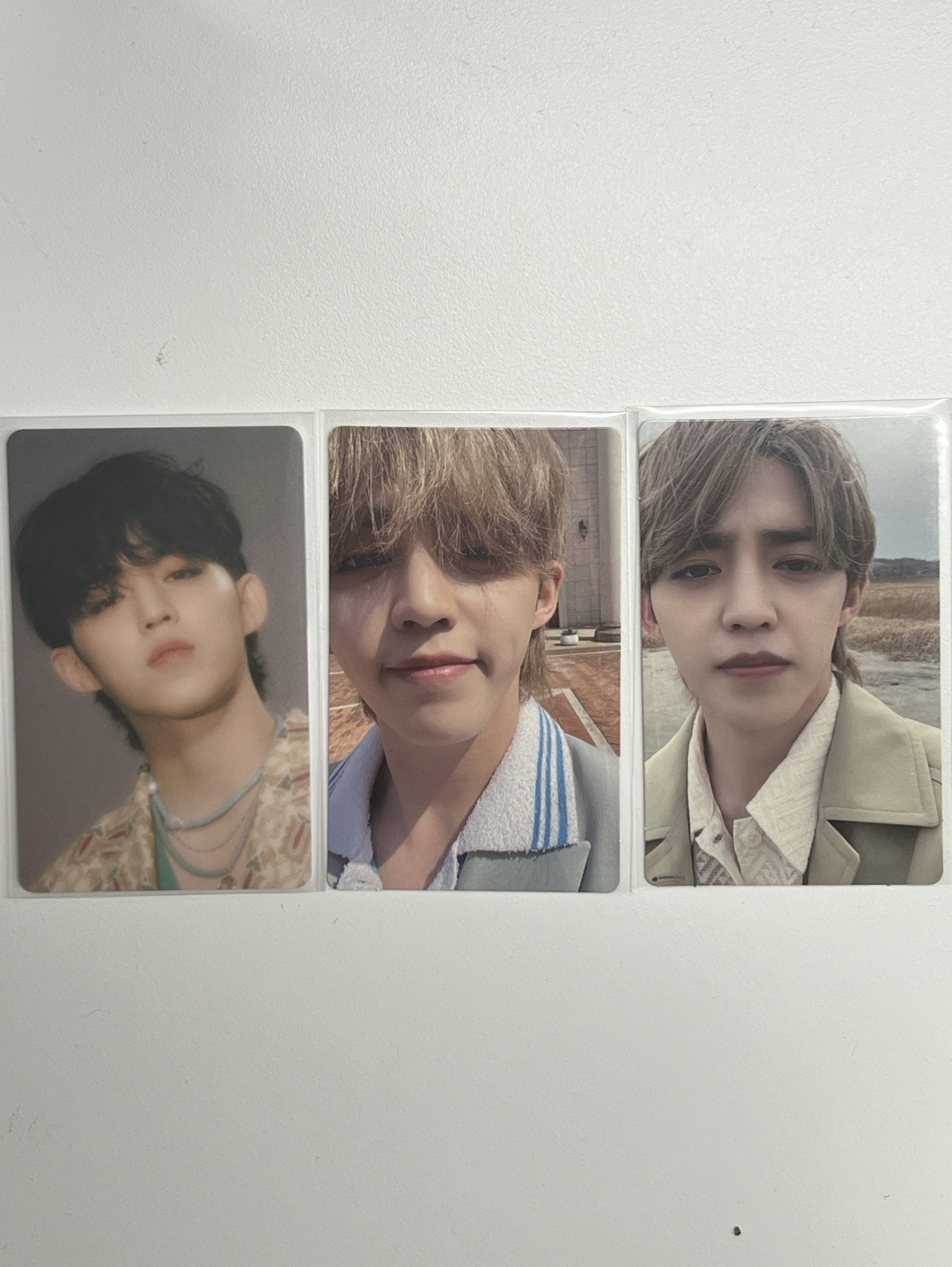 wvs哲/喆 未掃-Face The Sun