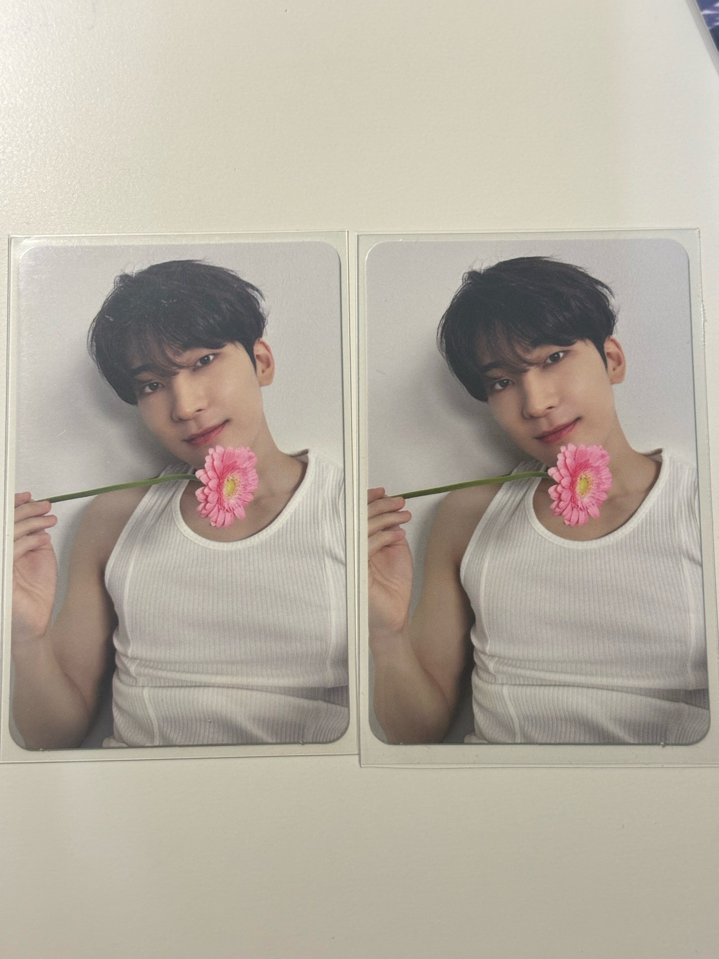 精選專 親愛盤圓隨機卡