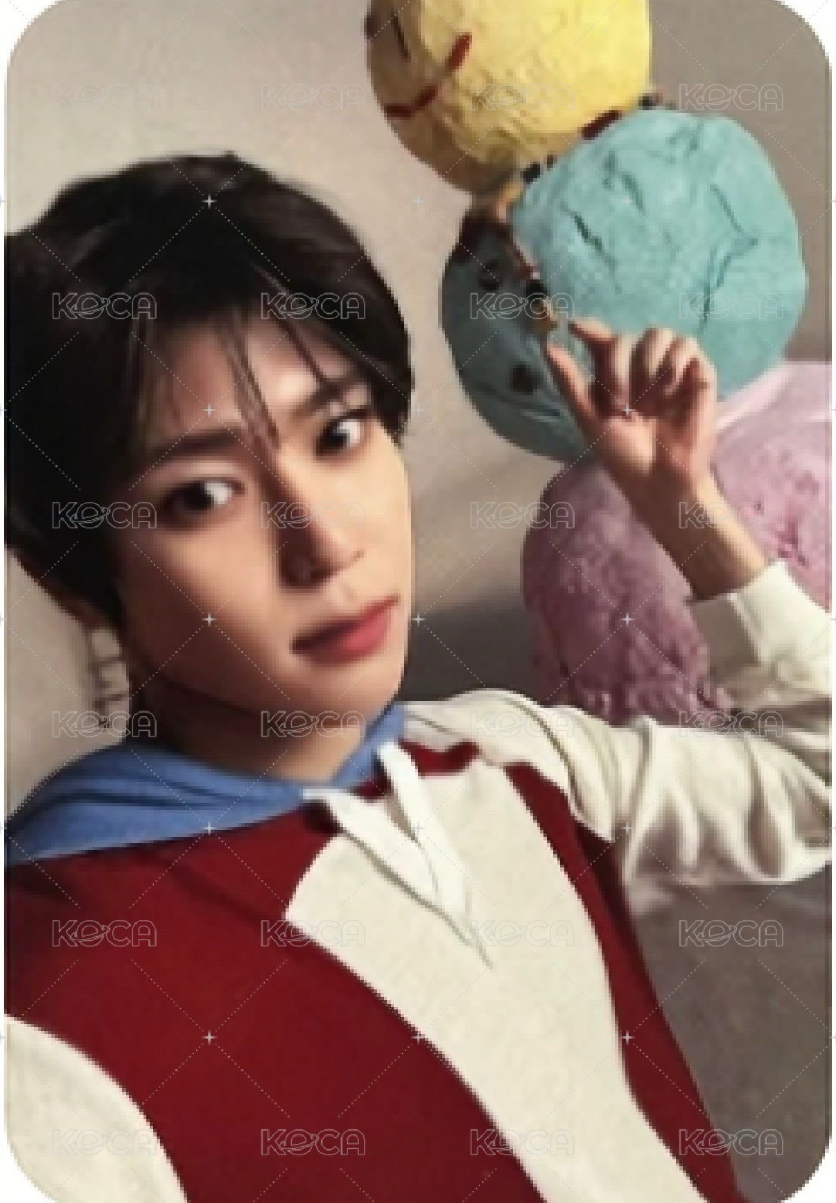 WISHFUL勇志單封全專 是溫小卡