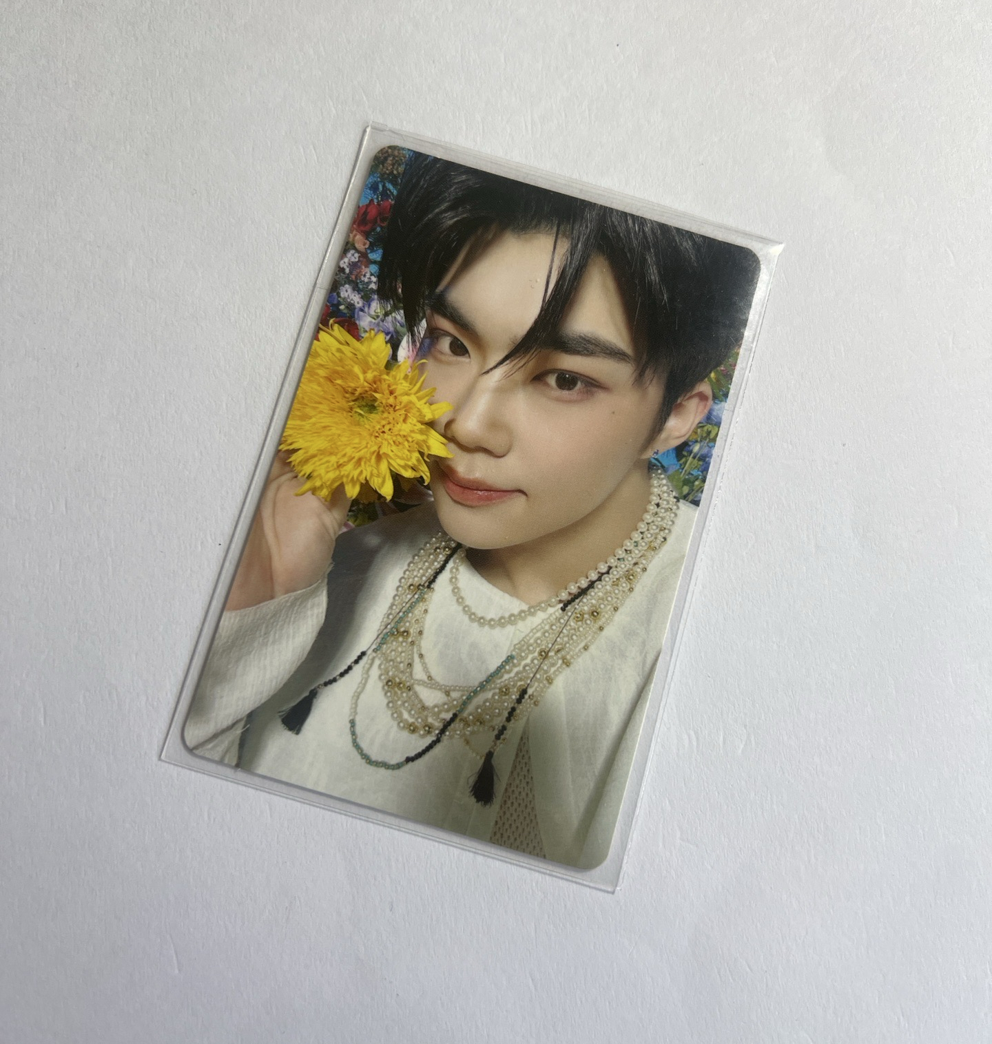 朴乾旭 yurayura 專卡