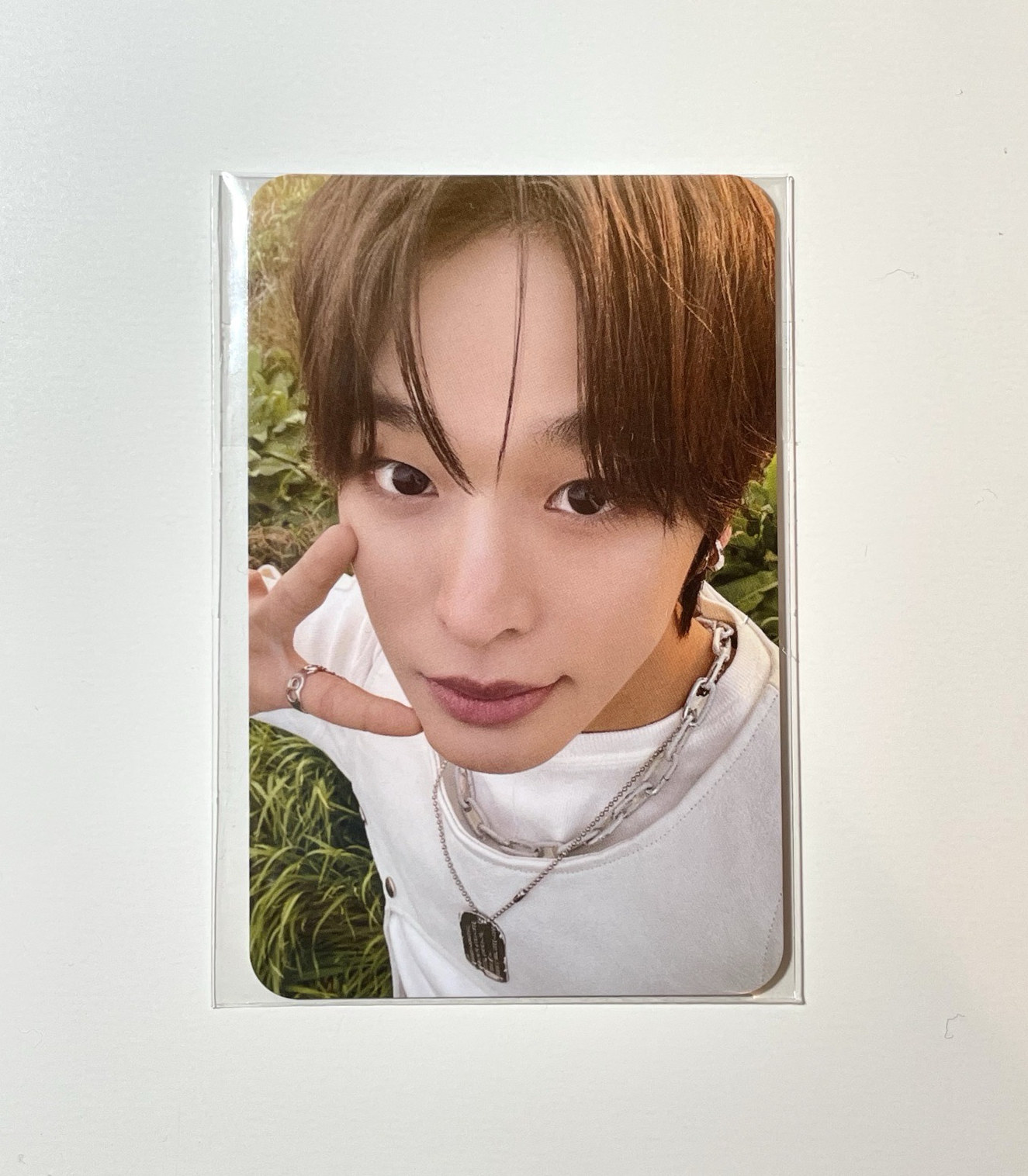 草地陸🐈‍⬛💚