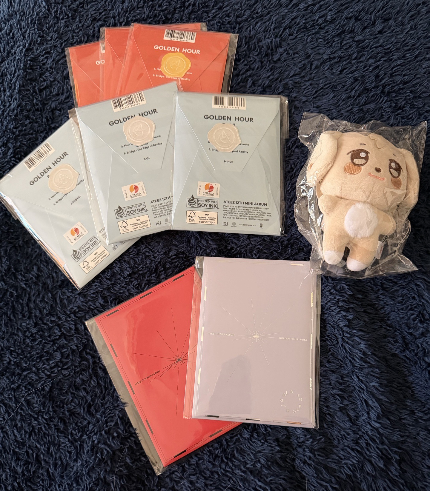 ANITEEZ Tyudeongi 全新吊飾娃 丁潤浩