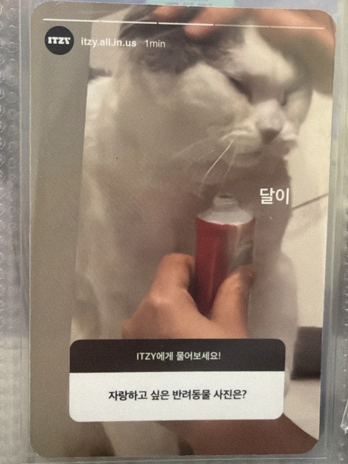 ITZY kill my doubt專卡