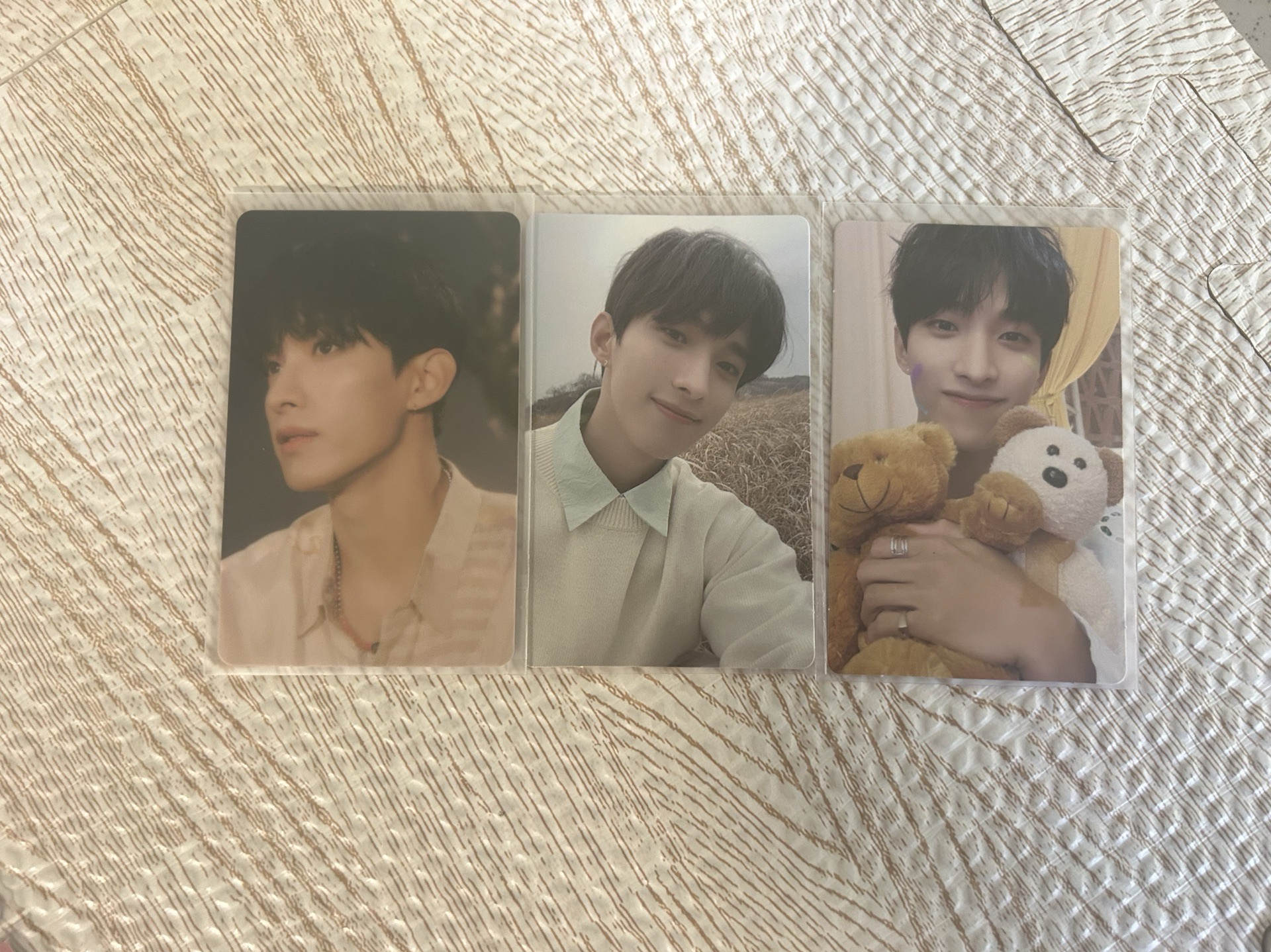 seventeen 李碩珉 抱熊 電子專