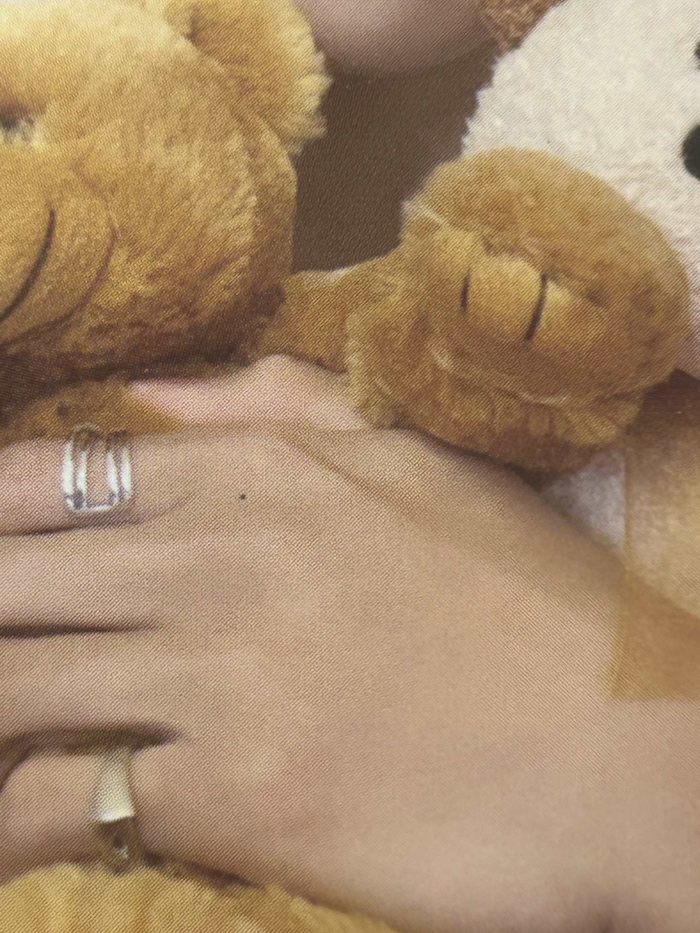 seventeen 李碩珉 抱熊 電子專