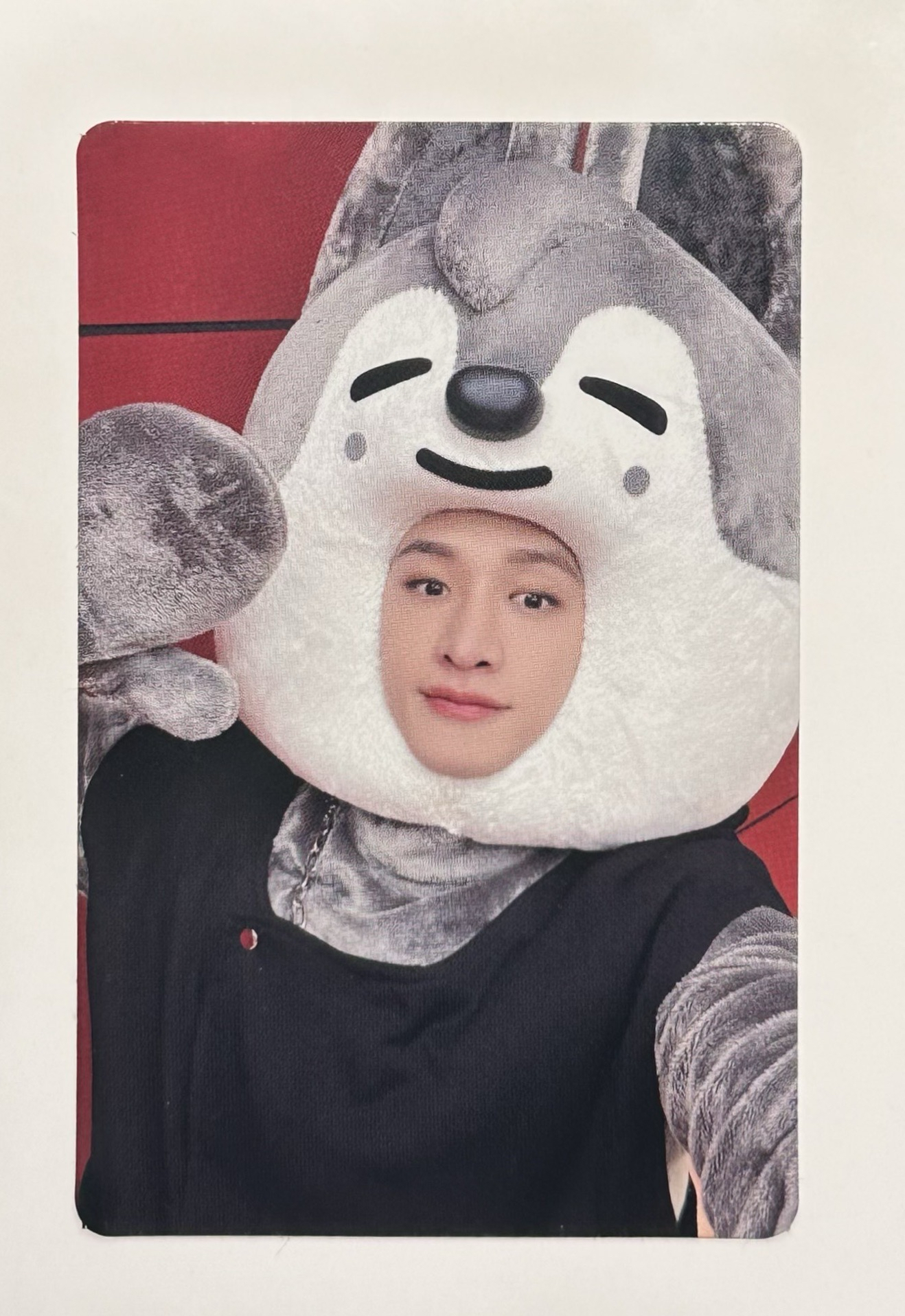 ❤️Maxident特典-JYP燦（有廠損）