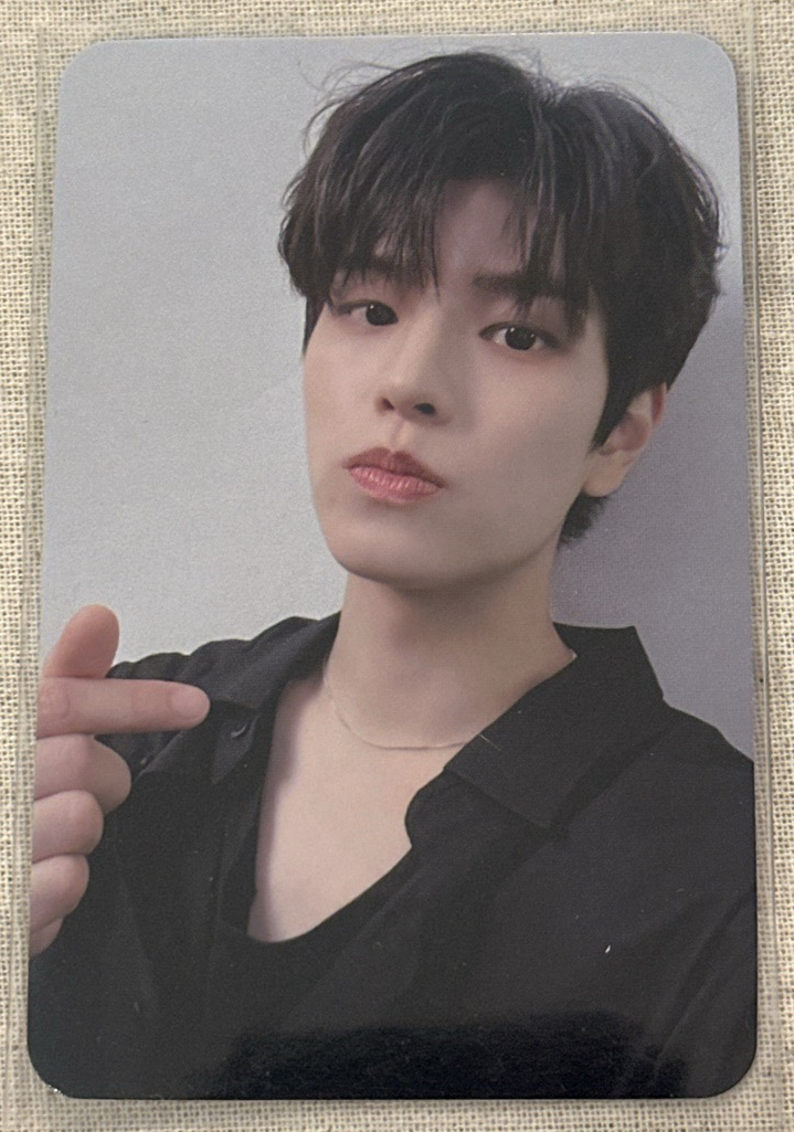 昇玟 MAXIDENT 蝦皮