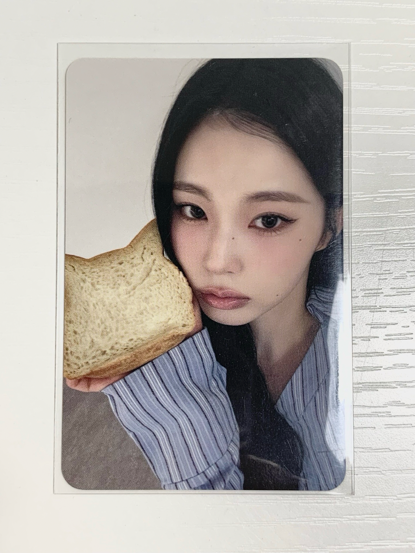 FORWARD ms 17.0 簽售卡 貓咪麵包圭