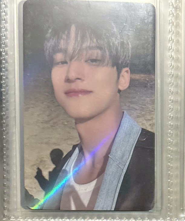 蜜蜂狗狗wvs+專卡4張