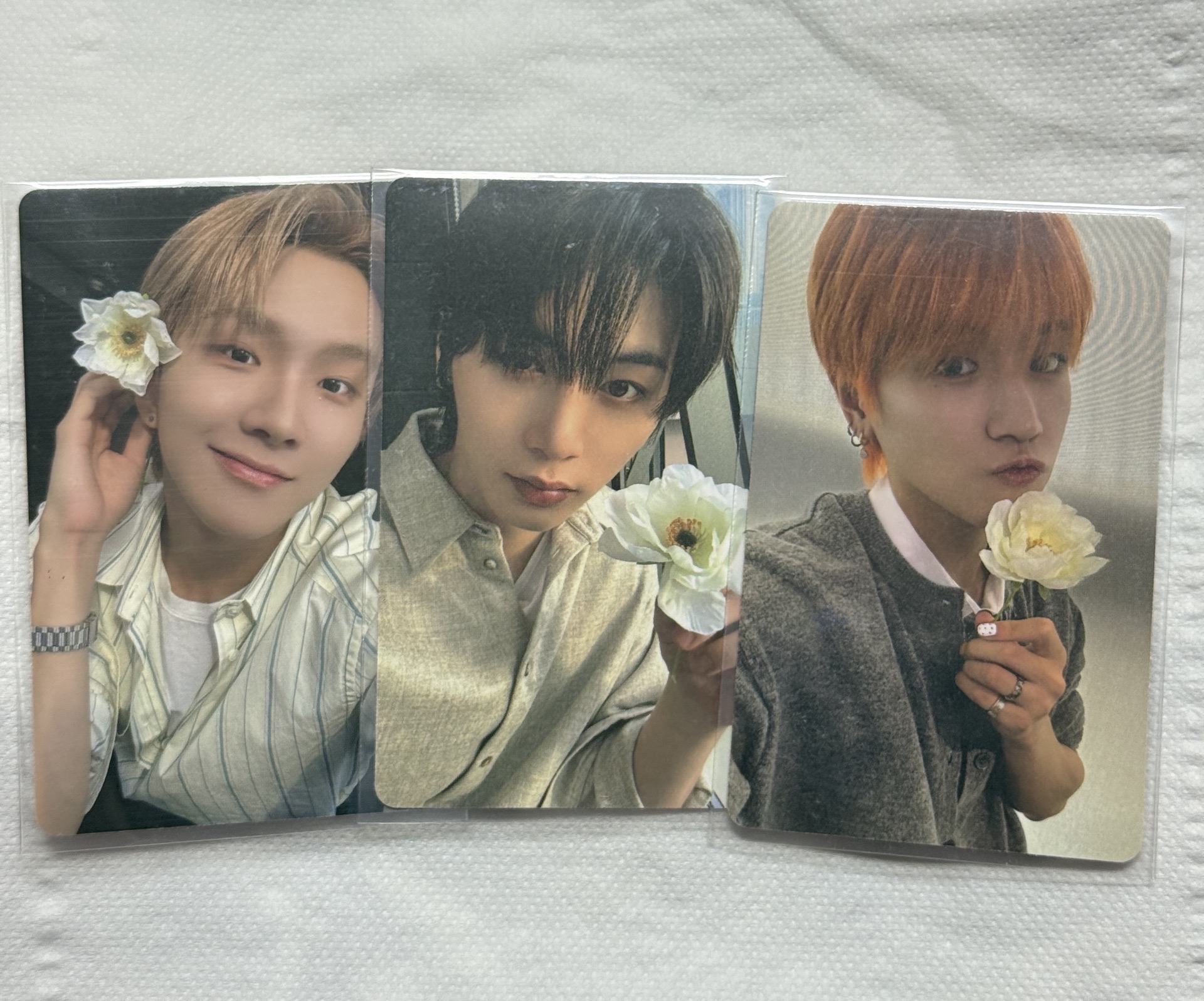 The Action wvs 特典卡  